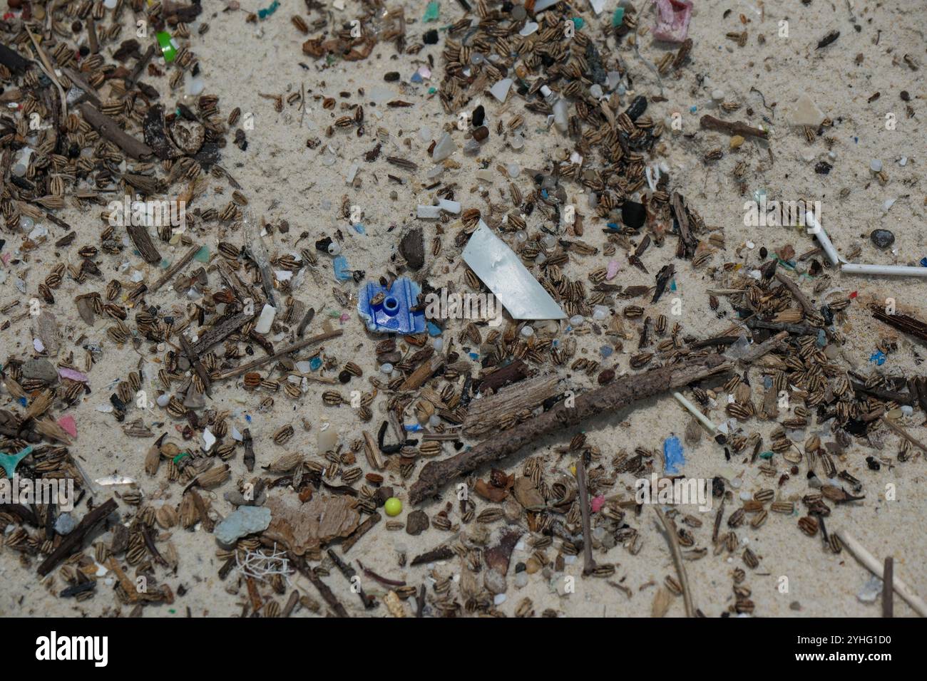 Microplastica lavata sulla spiaggia di St Johns Island Singapore. Gli ecosistemi acquatici sono influenzati dalla plastica monouso che entra negli oceani del mondo Foto Stock