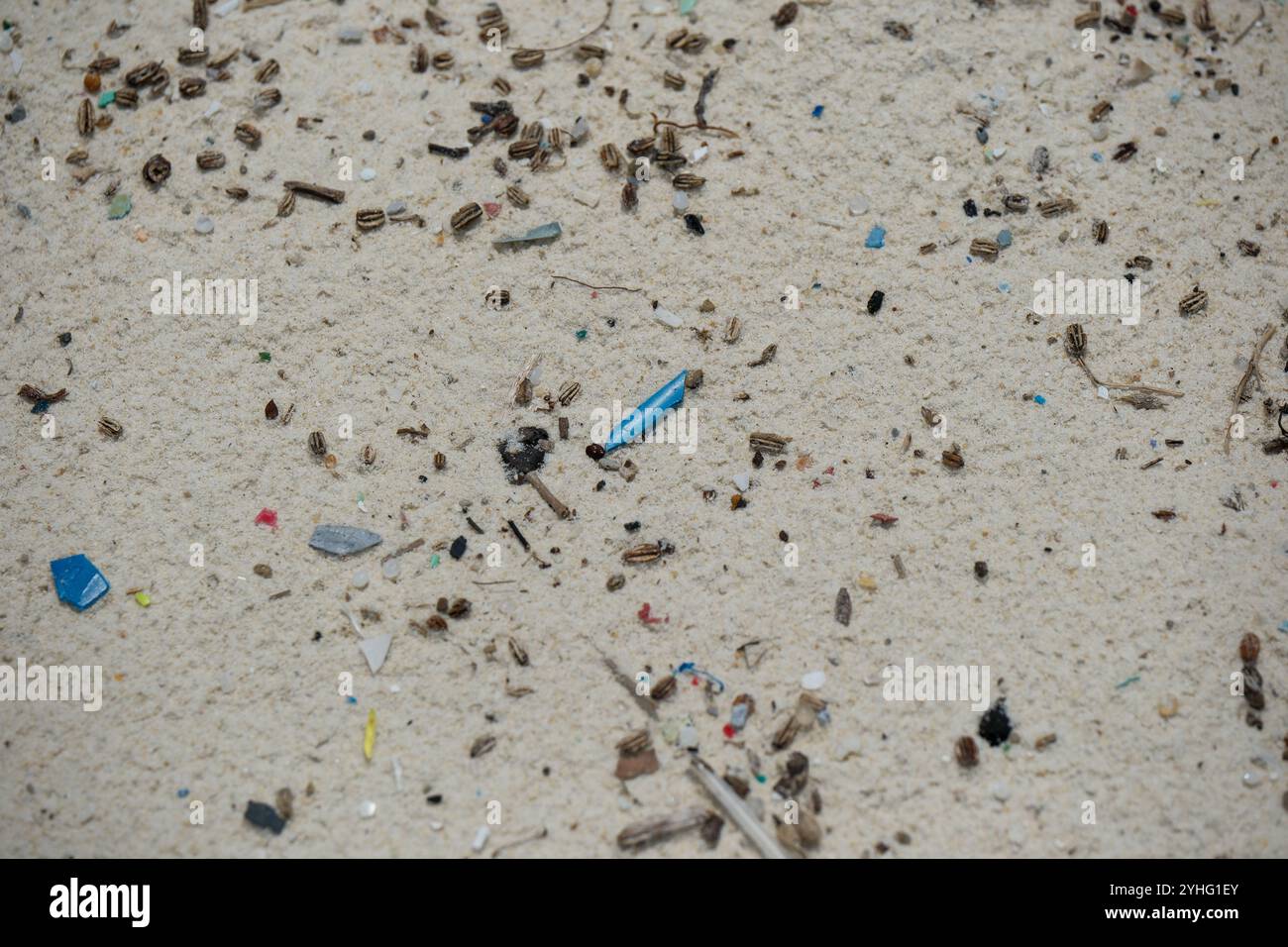Microplastica lavata sulla spiaggia di St Johns Island Singapore. Gli ecosistemi acquatici sono influenzati dalla plastica monouso che entra negli oceani del mondo Foto Stock