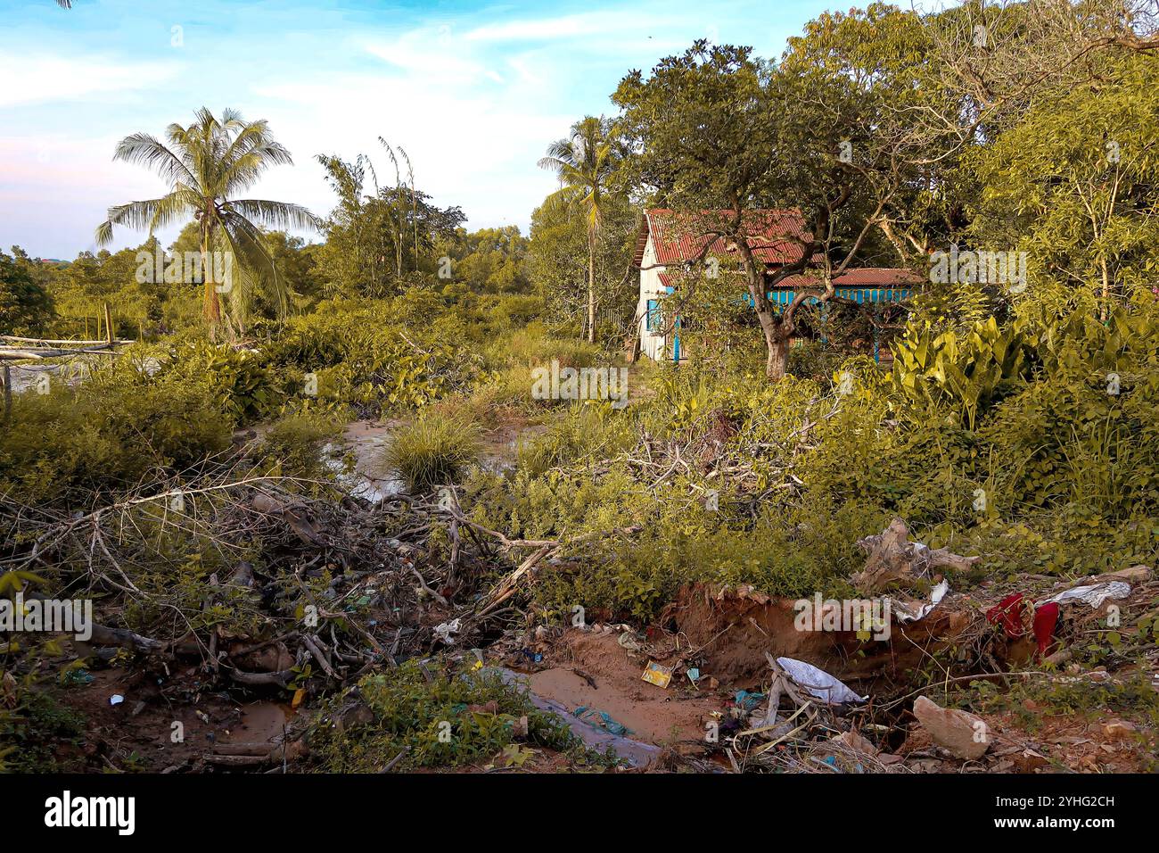 Paesaggio rurale con vegetazione lussureggiante, una piccola casa rustica e detriti sparsi, che mostrano l'equilibrio tra natura e presenza umana. Foto Stock