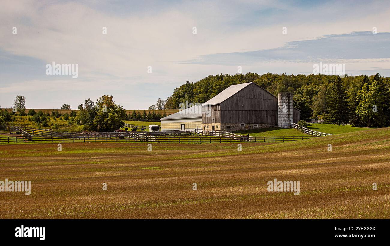 La bellezza dei vecchi fienili Foto Stock