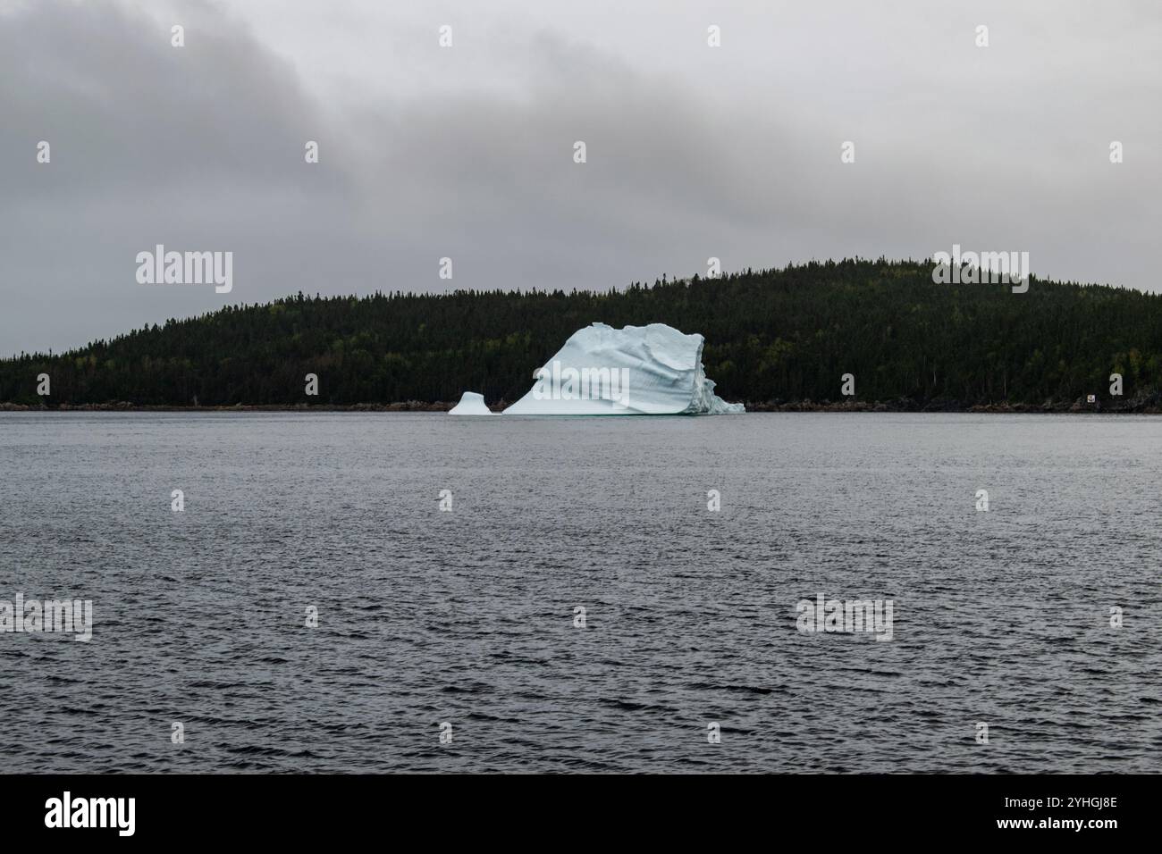 Un iceberg si trova immobile in una baia tranquilla, circondata da alberi e acque fredde, creando un incredibile contrasto tra la bellezza ghiacciata della natura e un se Foto Stock