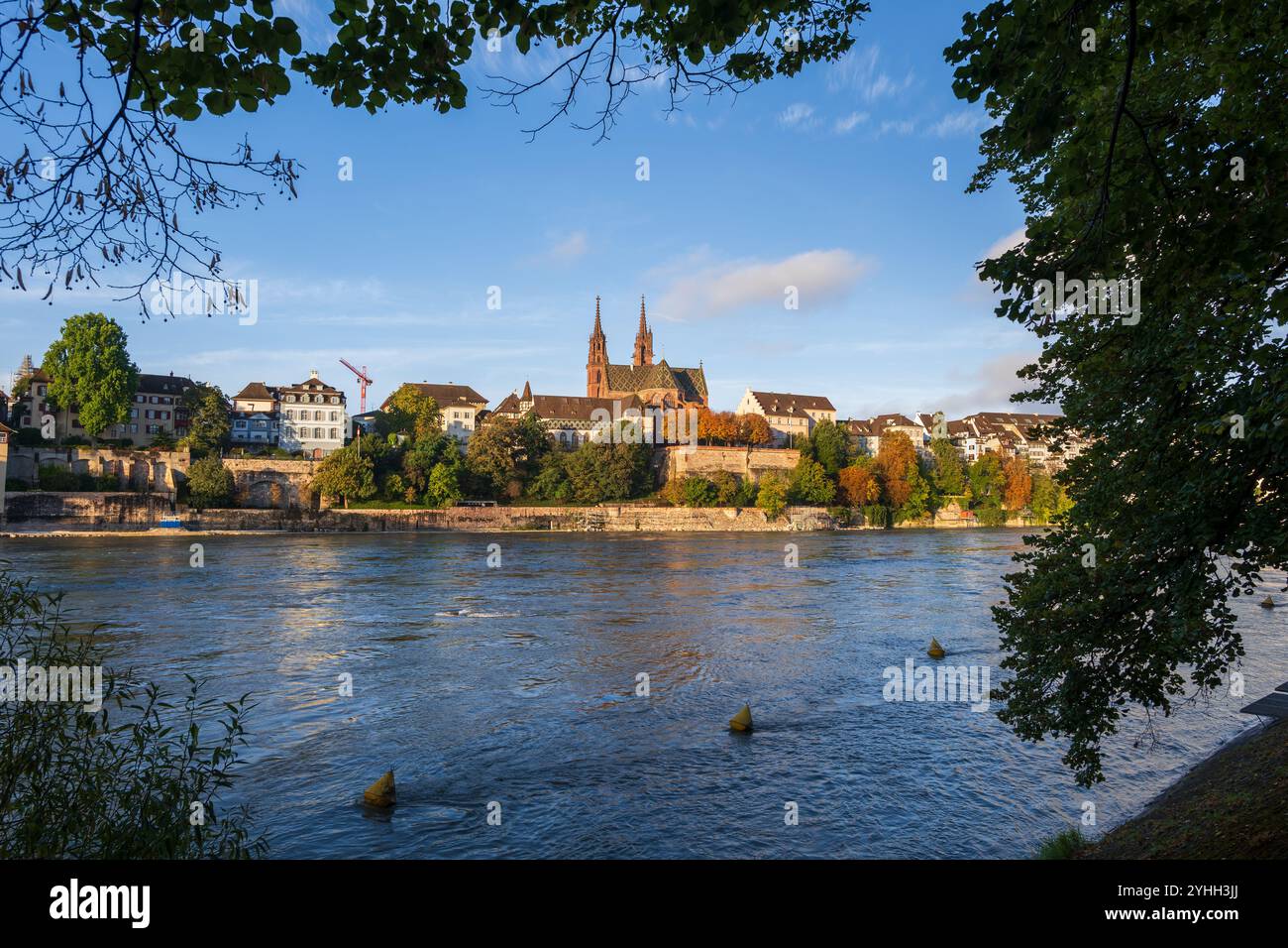 Basilea, Svizzera - skyline della città con la città vecchia e il fiume Reno, incorniciato dagli alberi sull'altra sponda. Foto Stock