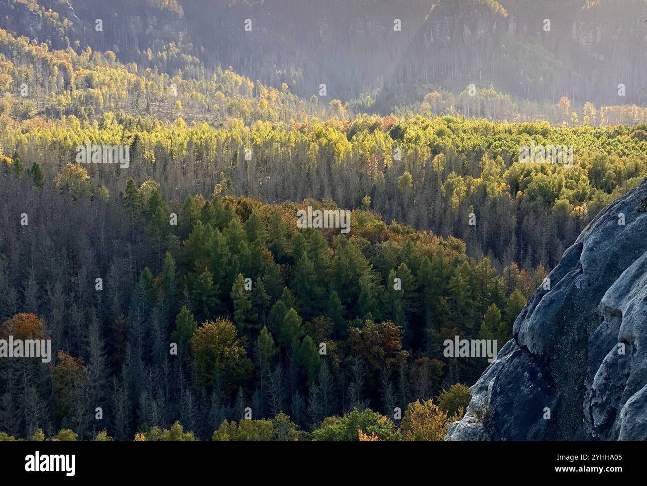 Ponte Bastei, montagne della Svizzera sassone, Sassonia, Germania - Immagine stock catturata con smartphone