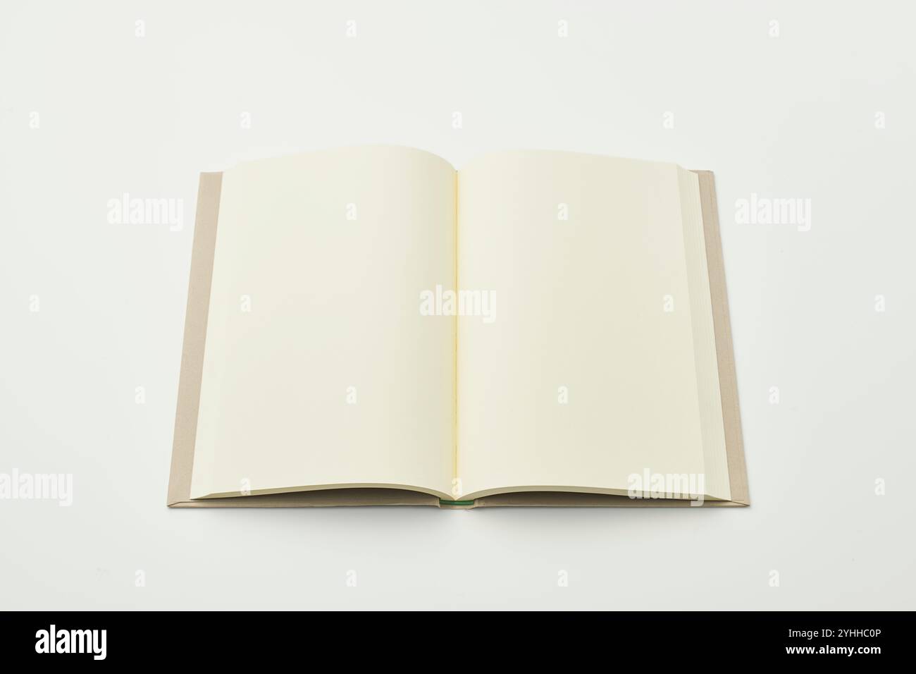 Un semplice libro Foto Stock