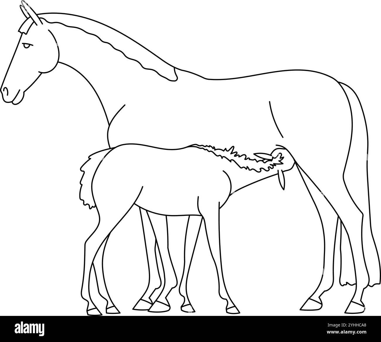 Mare nutre il suo puledro appena nato, illustrazione vettoriale Illustrazione Vettoriale