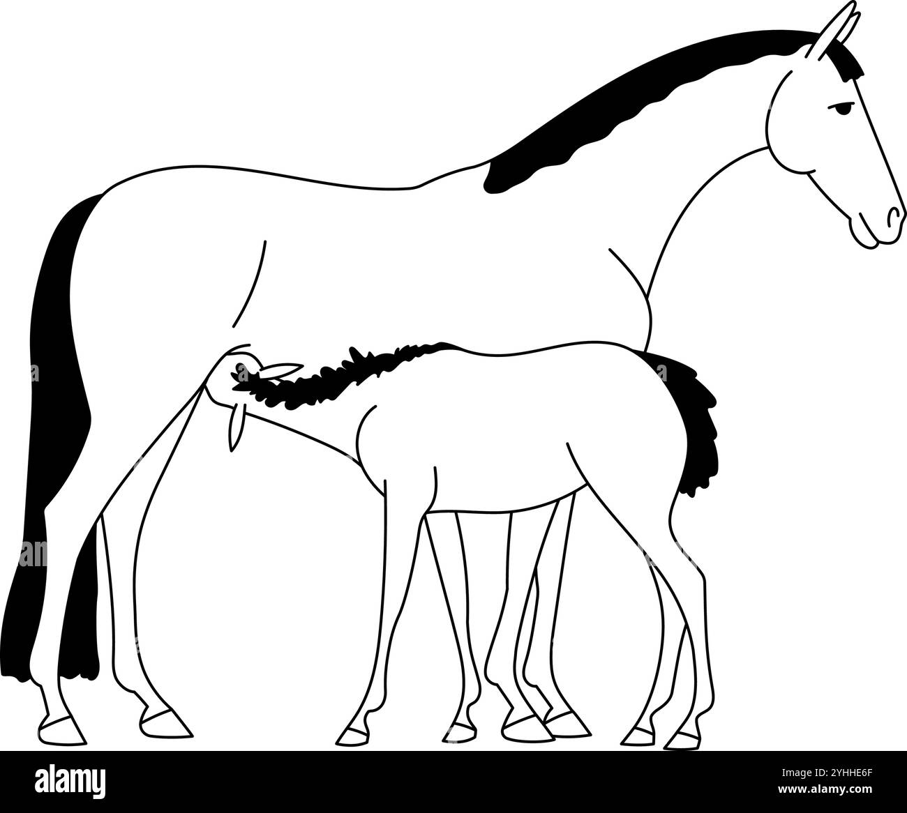 Alimentazione di un puledro, semplice illustrazione vettoriale Illustrazione Vettoriale