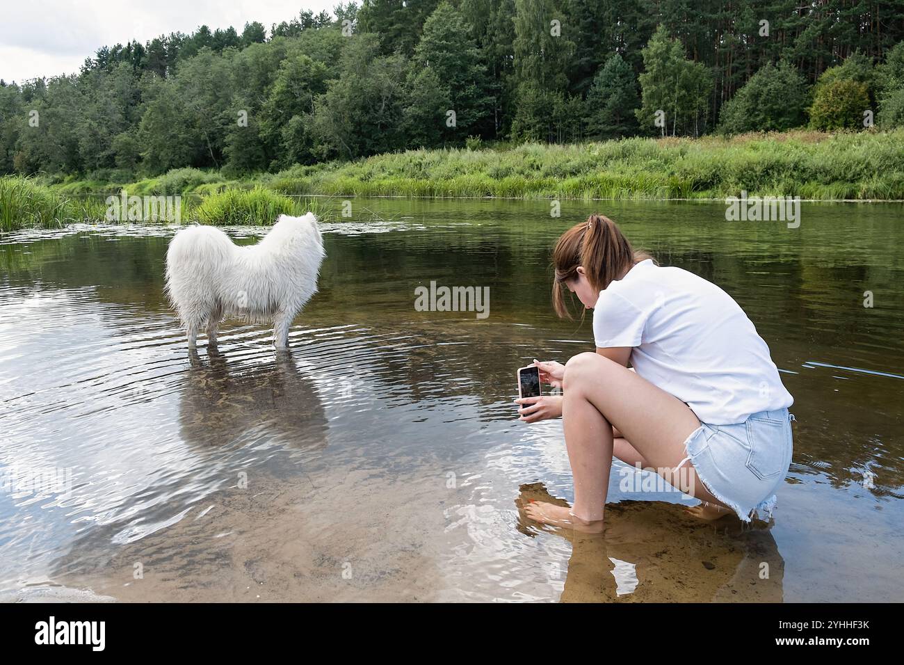 Il cane bianco samoidato è e si sta godendo l'acqua. La donna sta accovacciandosi e tenendo in mano una macchina fotografica, catturando il momento. Foto Stock