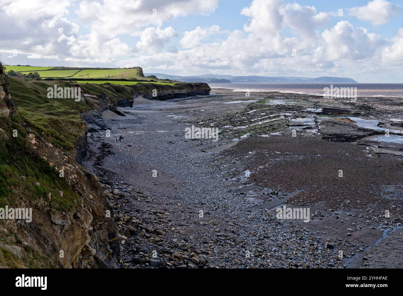 Vista spettacolare a ovest sulle rocce da Kilve Beach sulla costa del Somerset, Somerset Foto Stock
