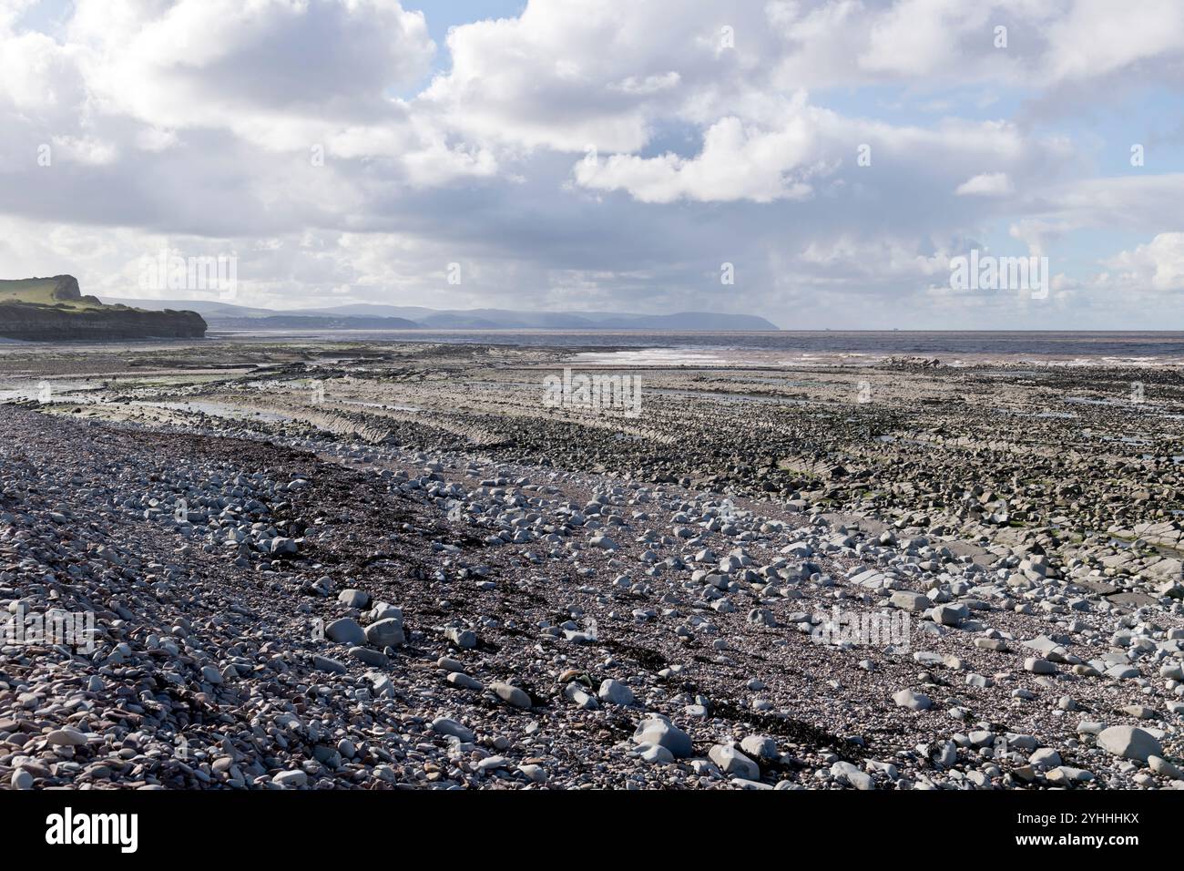 Vista spettacolare a ovest sulle rocce da Kilve Beach sulla costa del Somerset, Somerset Foto Stock