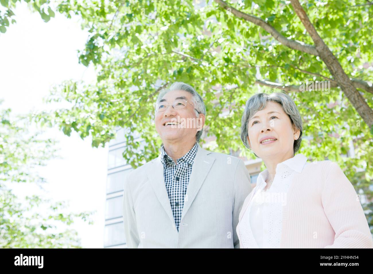 Sorridente Coppia senior Foto Stock