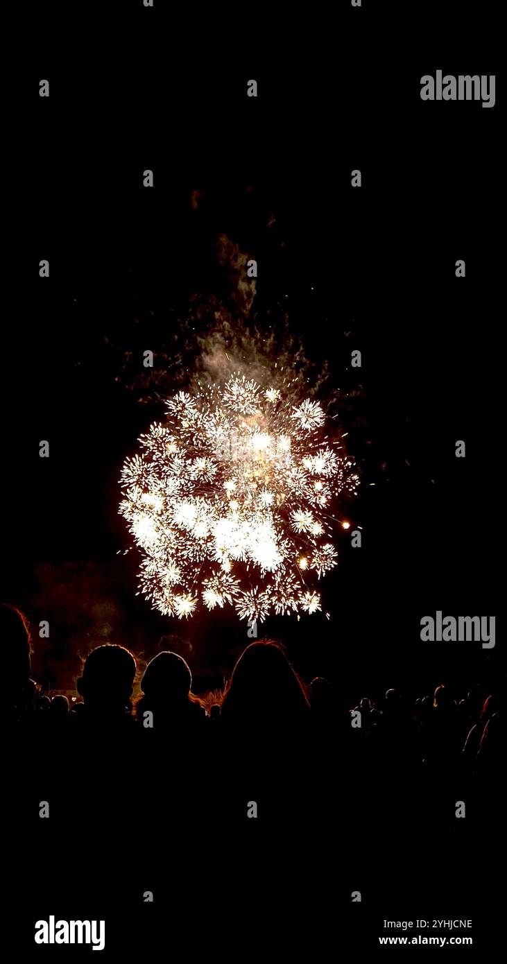 2024 fuochi d'artificio - Immagine stock catturata con smartphone