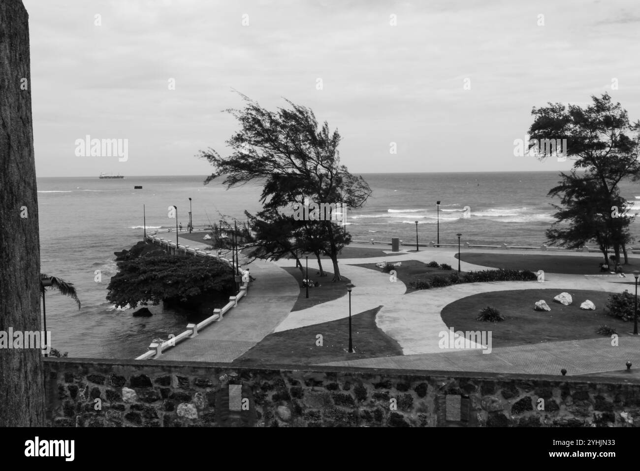 Alte palme oscillano dolcemente su una spiaggia sabbiosa, con un oceano calmo che si estende all'orizzonte sotto un cielo parzialmente nuvoloso. La scena è tranquilla. Foto Stock