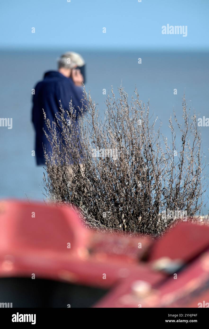 uomo anziano solitario deconcentrato con cellulare sulla spiaggia di dunwich, suffolk, inghilterra Foto Stock