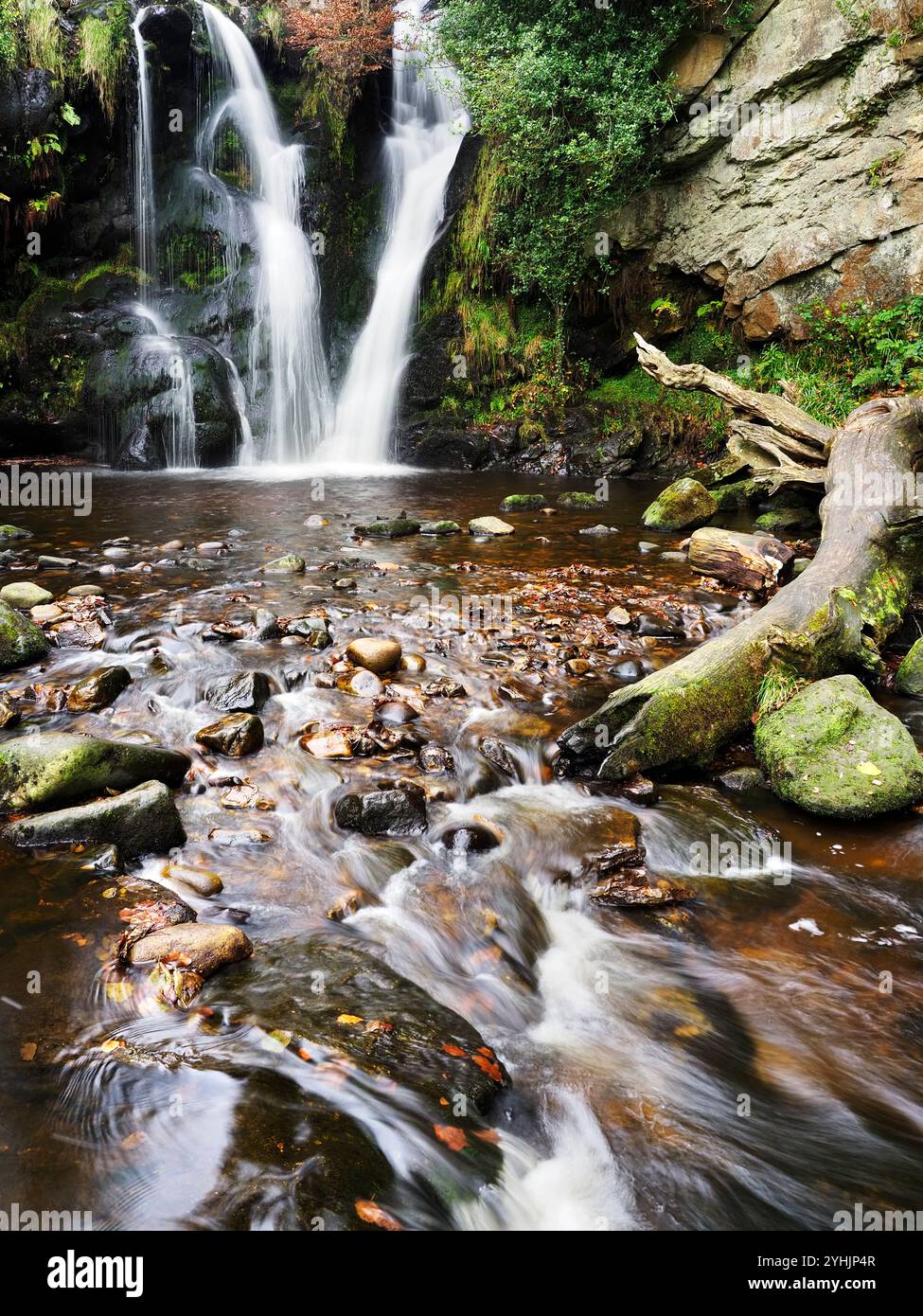 Cascata Posforth Gill a Posforth Gill a Bolton Abbey, North Yorkshire, Inghilterra Foto Stock