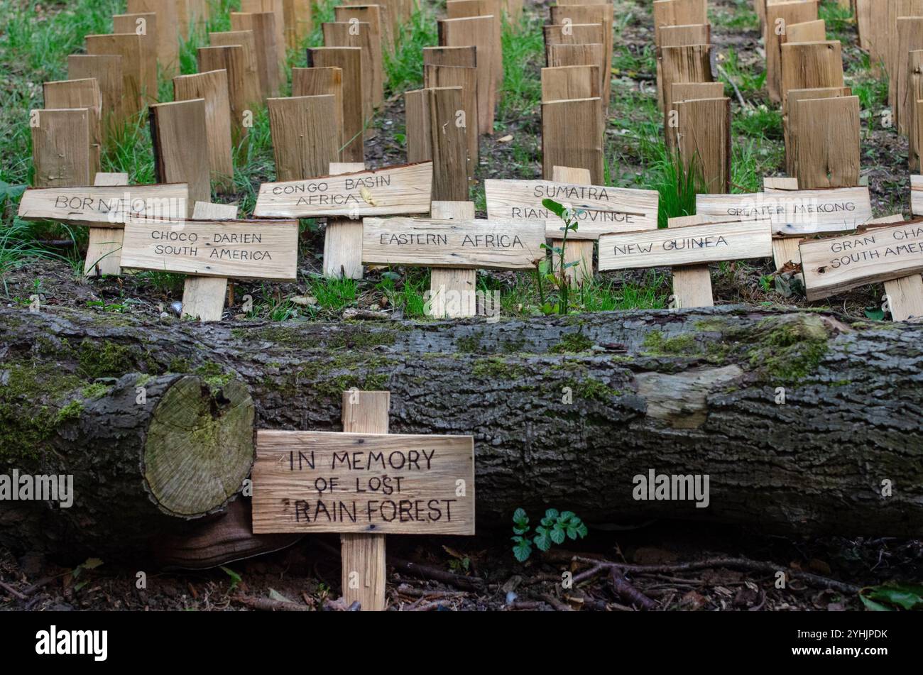 mostra d'arte in memoria dell'habitat della foresta pluviale perduta, norfolk, inghilterra Foto Stock