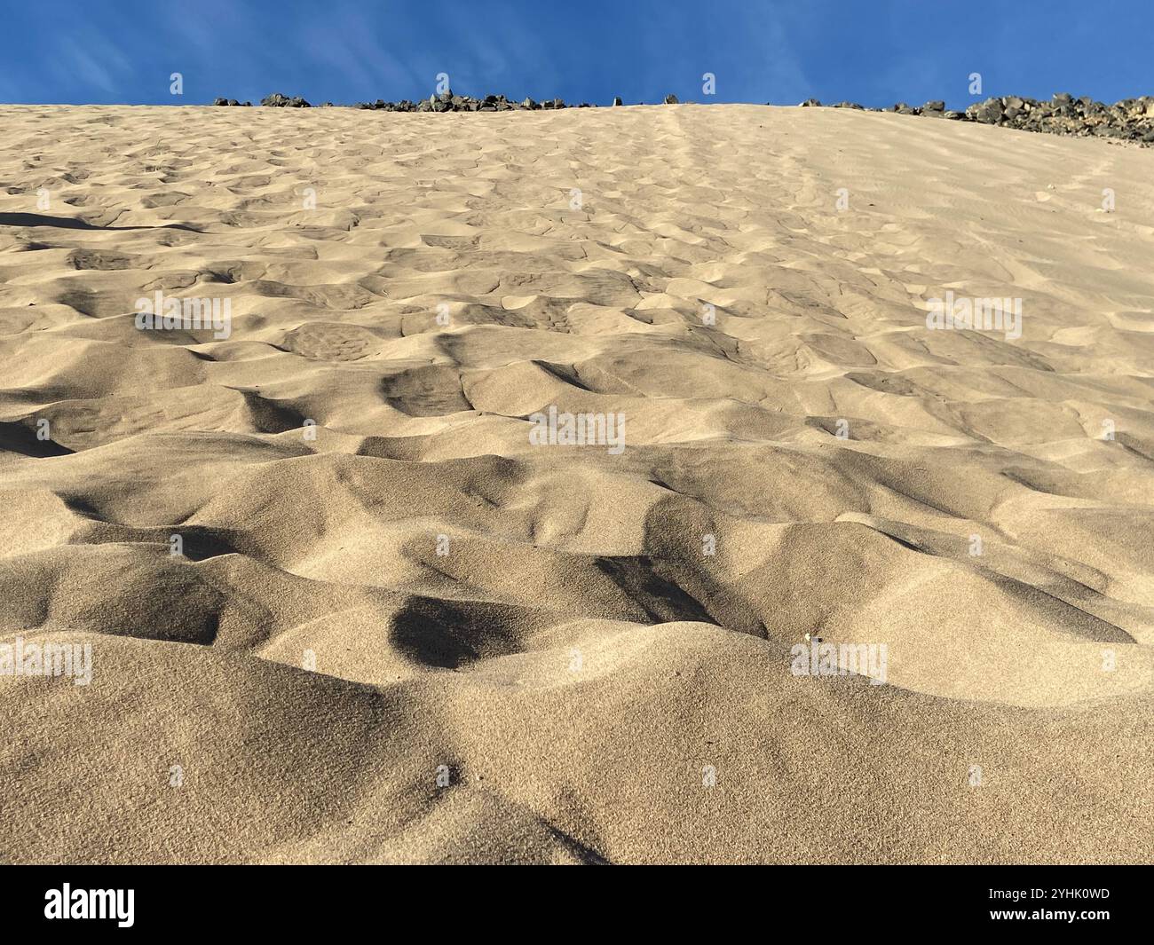 Piccole dune di sabbia con orizzonte sullo sfondo e alberi che punteggiano l'orizzonte Foto Stock