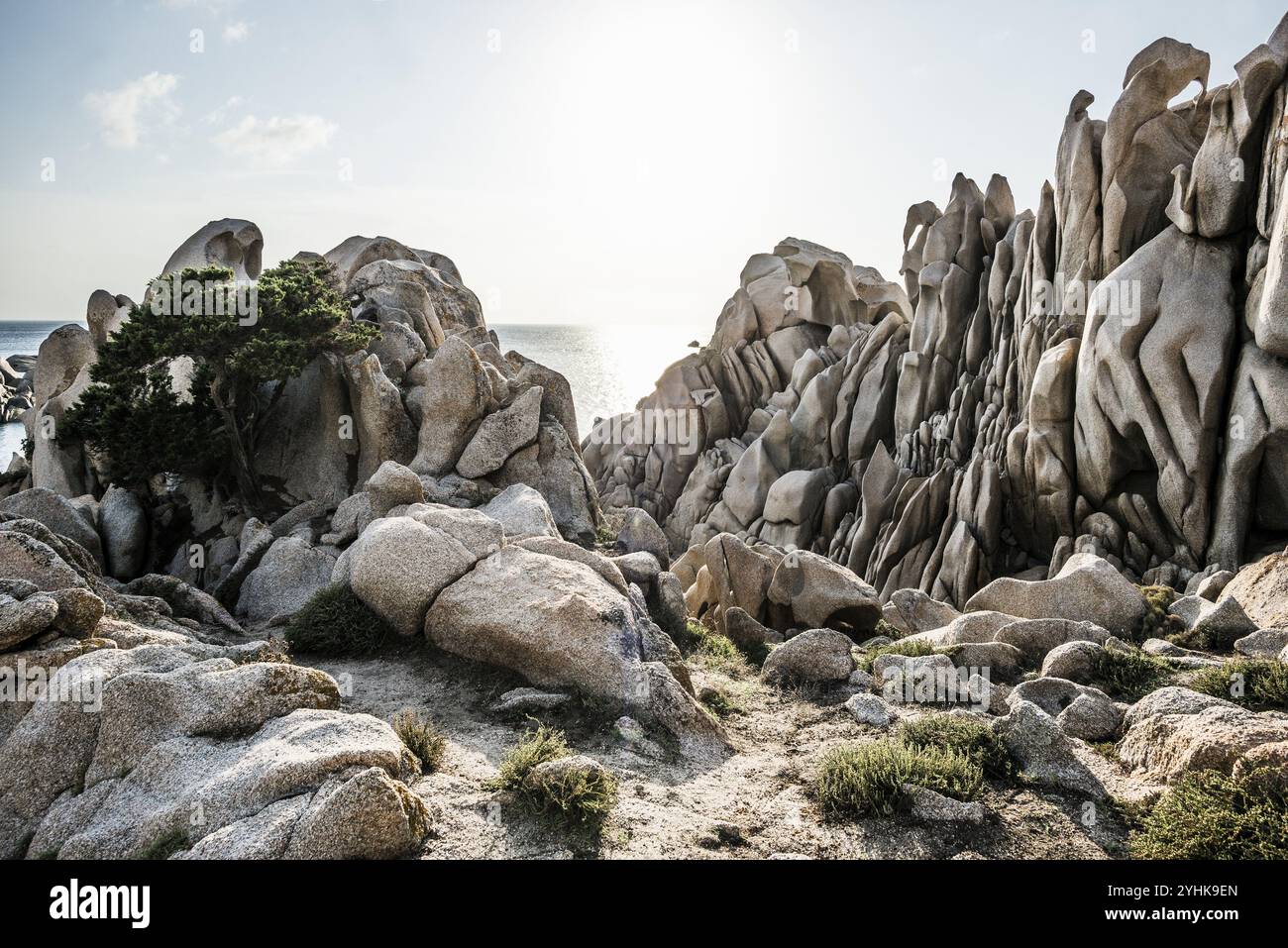 Bizzarre ed enormi rocce granitiche sul mare, Valle della Luna, Capo testa, vicino a Santa Teresa di Gallura, Sardegna, Italia, Europa Foto Stock