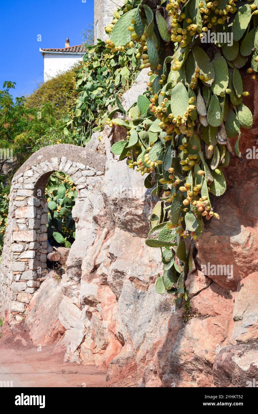 Isola di Hydra, Grecia, Grecia estate, vacanze pittoresche sull'isola, viaggi estivi sull'isola, paesaggi dell'isola greca, viste estive sul Mar Egeo, viaggio Foto Stock
