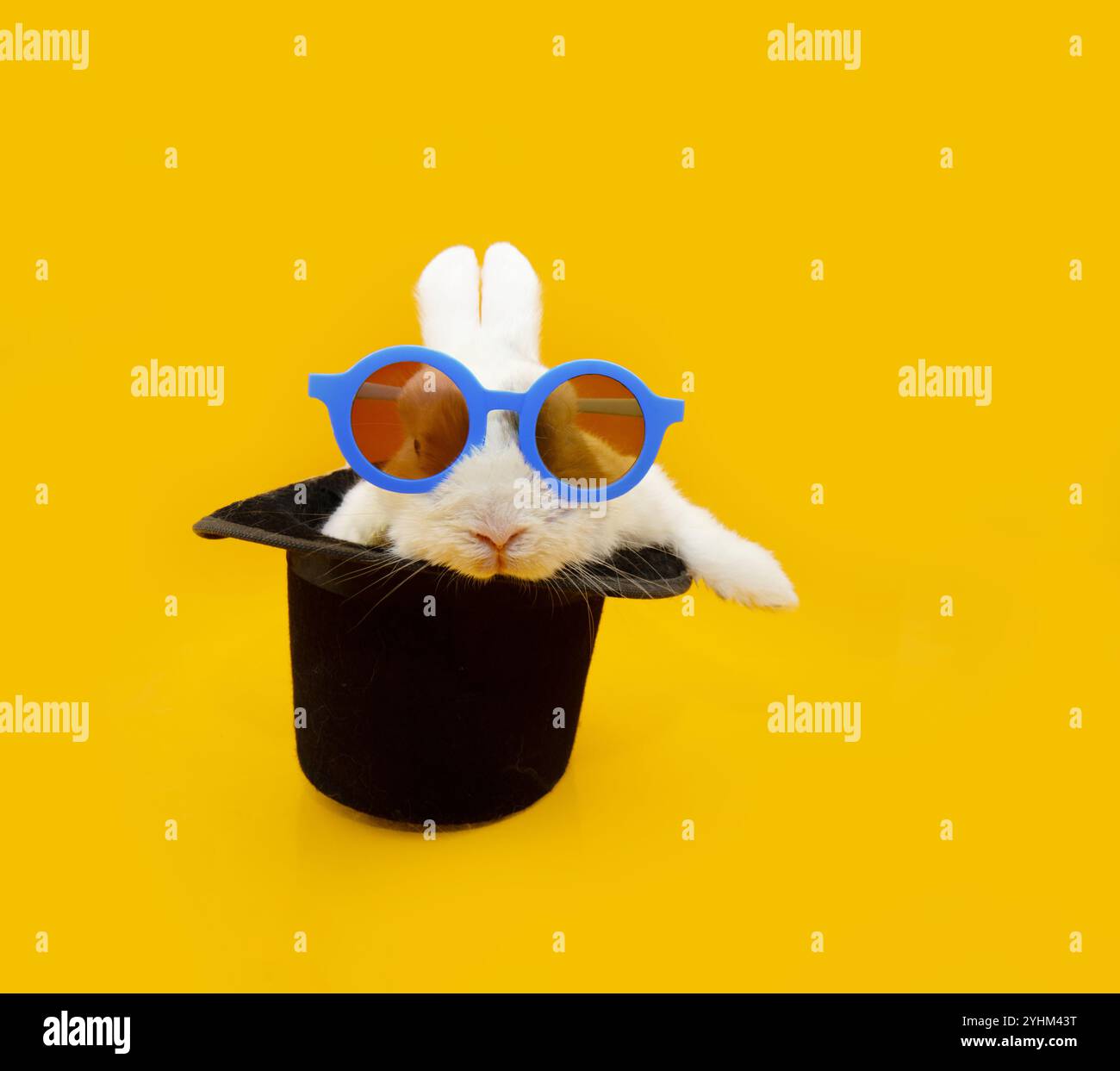 Coniglietto ritratto per festeggiare il carnevale, halloween, festa di Capodanno all'interno di un cappello con occhiali. Isolato su sfondo giallo Foto Stock