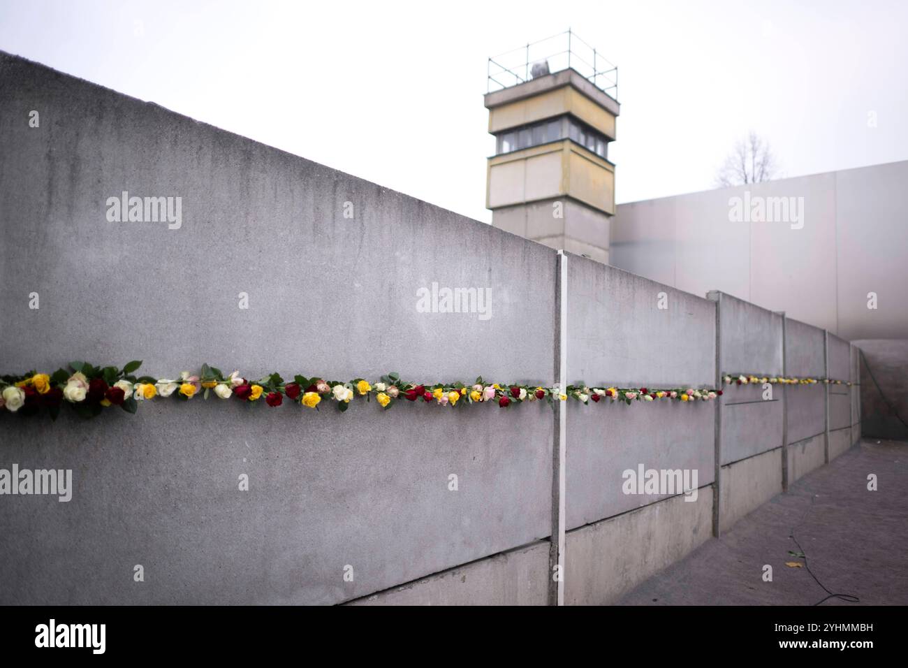 Muro di Berlino - commemorazione DEU, Deutschland, Germania, Berlino, 09.11.2024 Hinterlegte Rosen in einem Mauerspalt der Hinterlandmauer mit Wachturm bei einer Zeremonie mit Kerzen zum Gedenken an die Maueropfer in der Gedenkstaette Berliner Mauer in der Bernauer Straße im Rahmen der Feierlichkeiten zum 35. Jahrestag vom Mauerfall alle 9:00. Novembre 1989 a Berlino Germania . Die Mauer 1961 von der ehemaligen ostdeutschen Regierung errichtet, fiel waehrend einer friedlichen Revolution AM 9. Novembre 1989 und ebnete den Weg für die Wiedervereinigung der beiden deutschen Staaten. Die Mauer verhinderte Foto Stock
