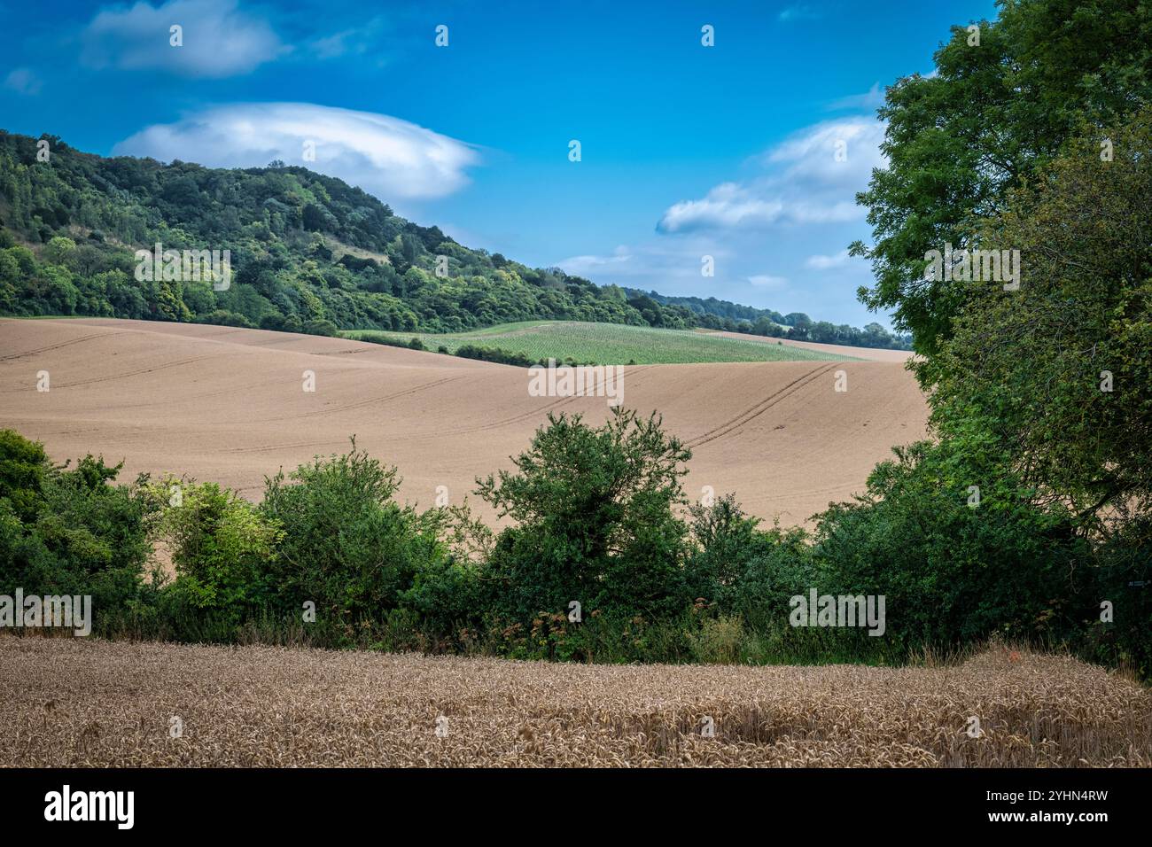 Vista dei campi e delle North Downs a Trottiscliffe, West Malling, Maidstone, Kent Foto Stock