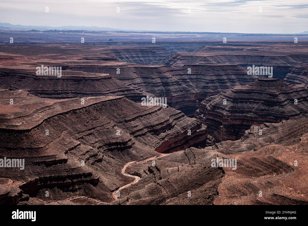 Splendida vista aerea dal suggestivo Muley Point che si affaccia sui canyon e sul tortuoso fiume San Juan nello Utah, Stati Uniti. Il paesaggio robusto mostra g Foto Stock