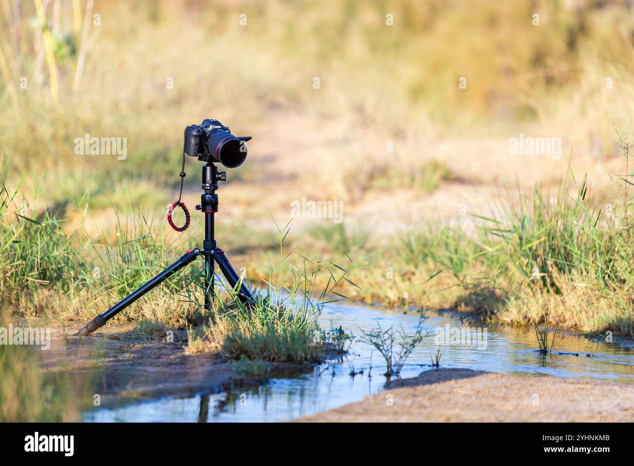 Una fotocamera montata su un cavalletto in un'area esterna per scattare una foto. Foto Stock