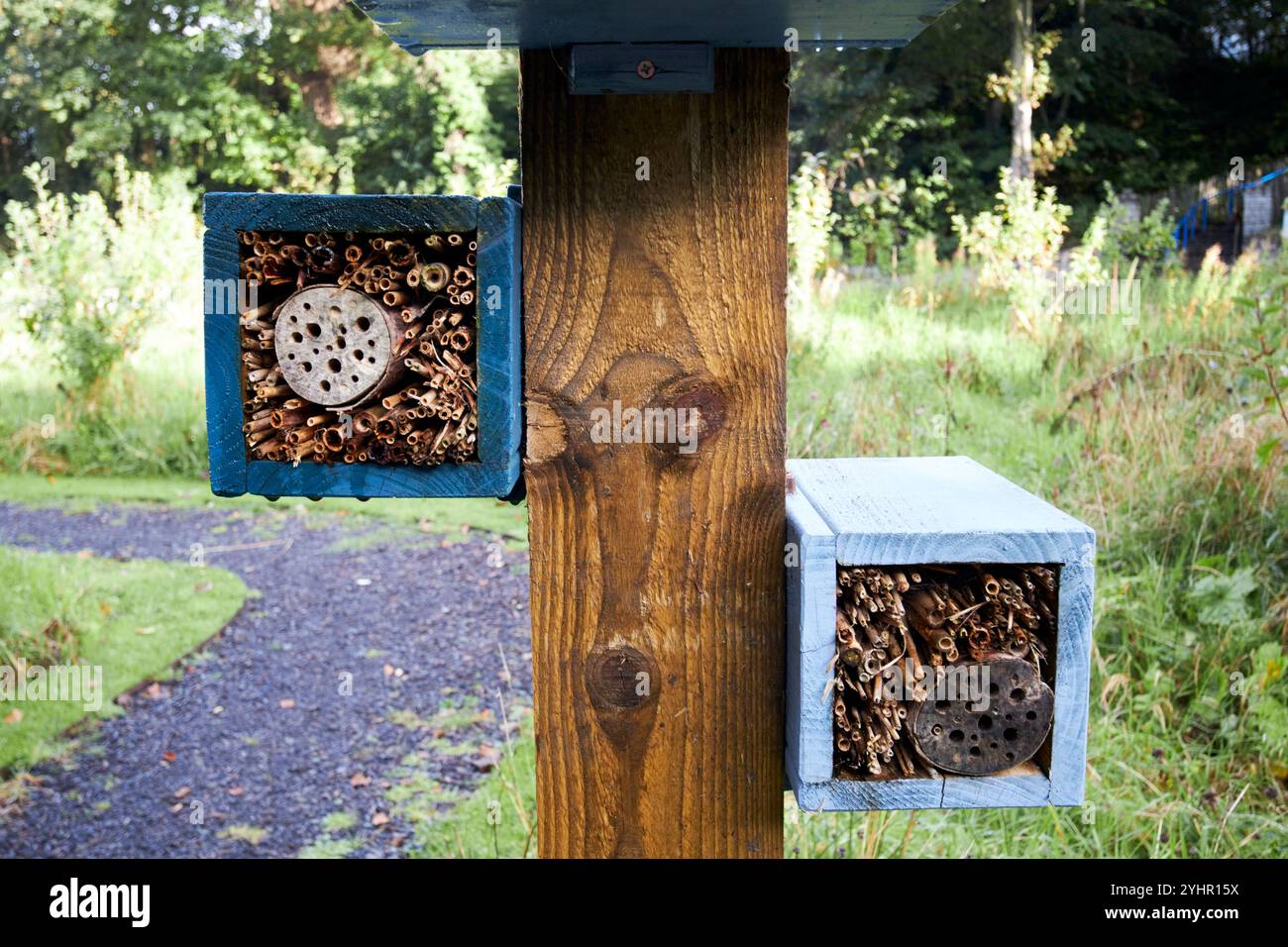 hotel di api e insetti nel parco dei cigni di buncrana, contea di donegal, repubblica d'irlanda Foto Stock