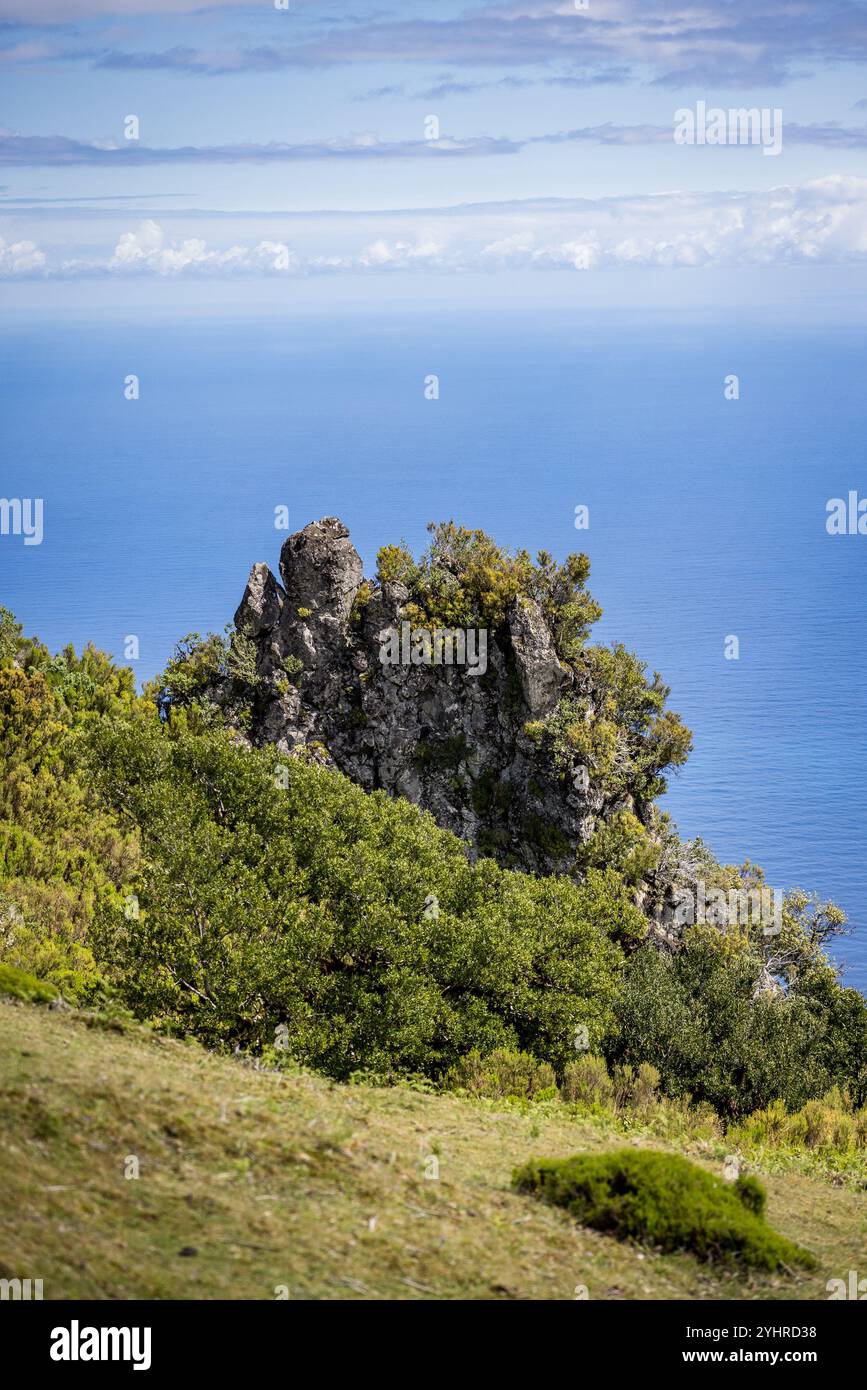 Scopri la maestosa foresta Fanal di Madeira, che offre incredibili viste sull'Oceano Atlantico. La foresta è conosciuta per il suo clima nebbioso. Foto Stock