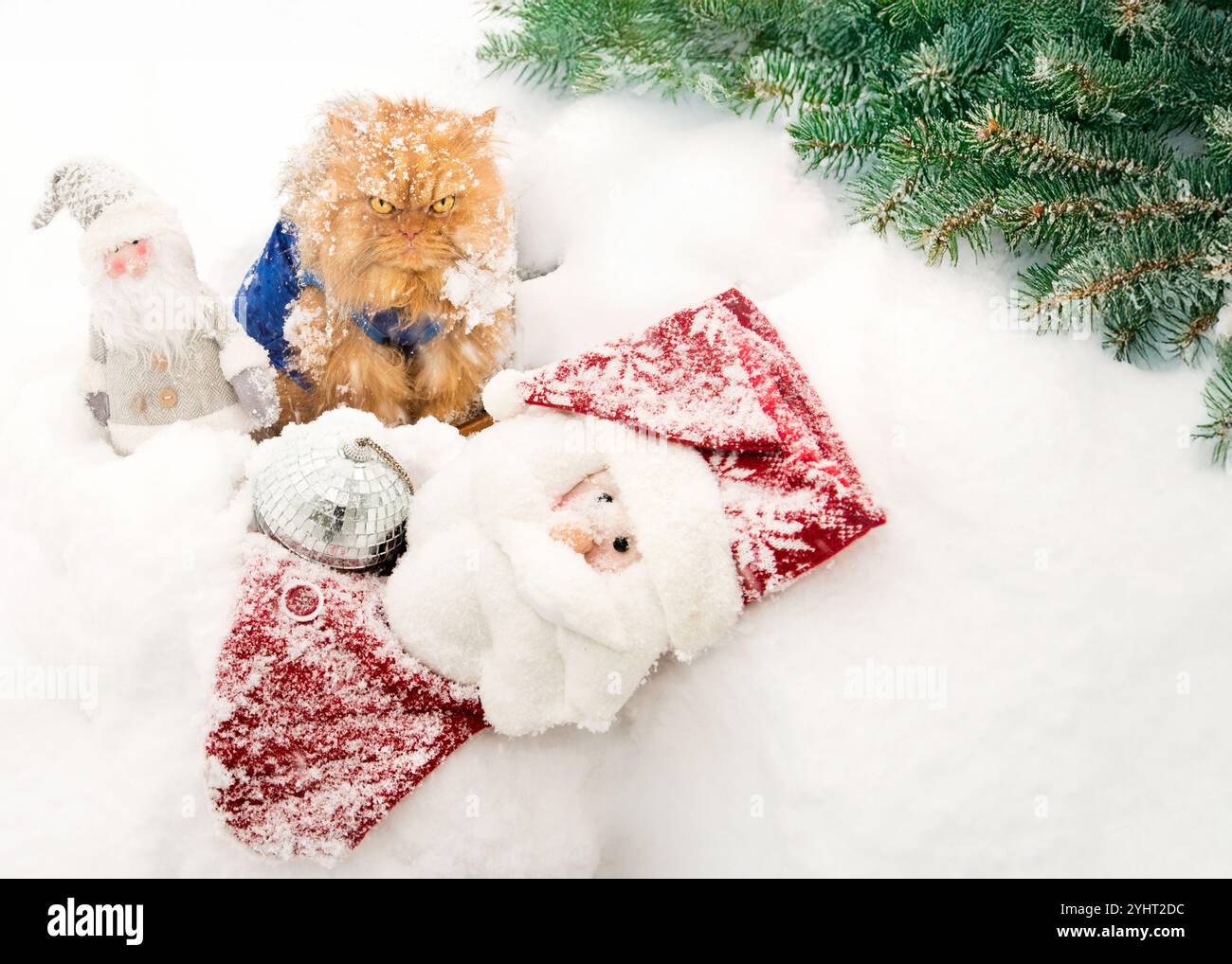 Un gatto arancione soffice siede sulla neve con decorazioni natalizie, tra cui figure di Babbo Natale e una calza di Natale, creando una scena festosa. Foto Stock