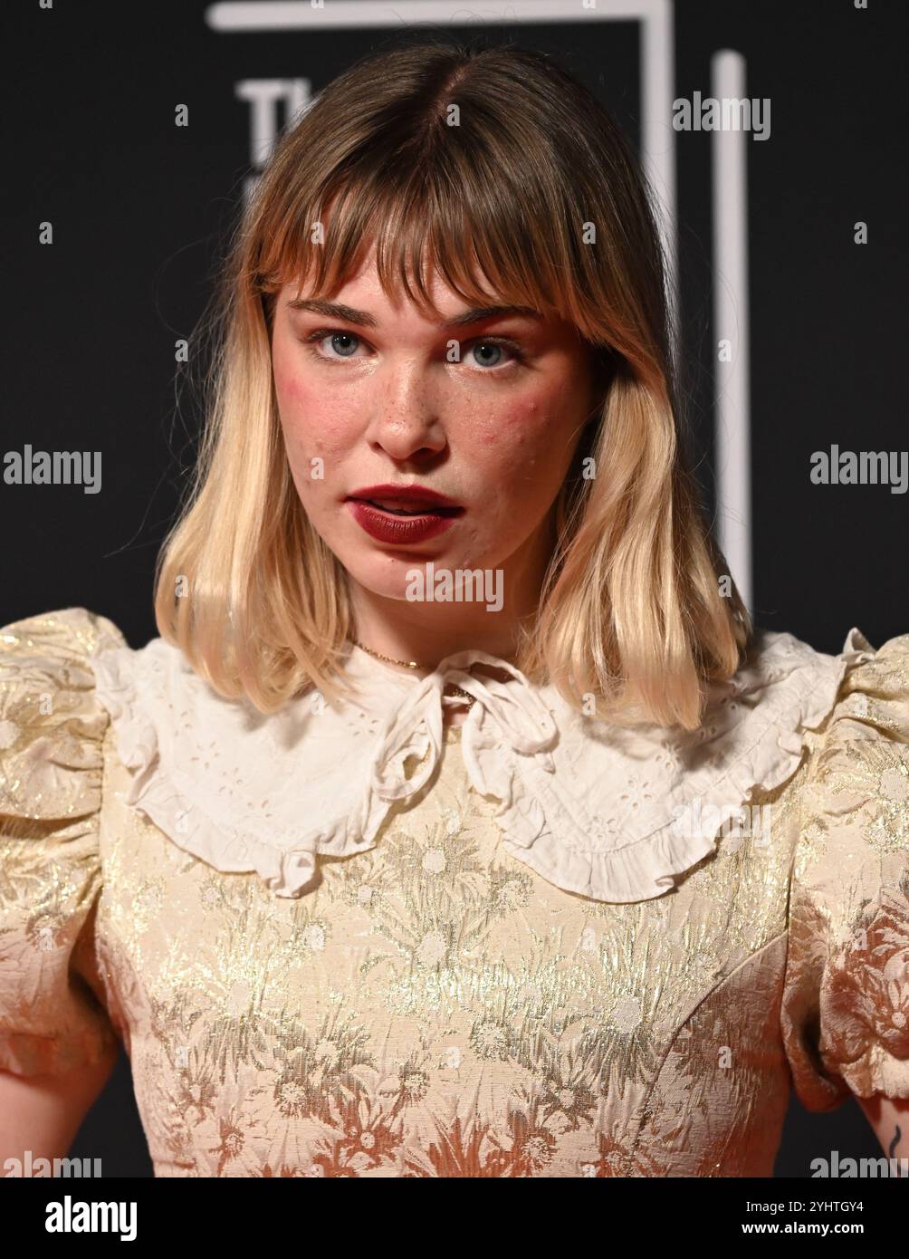 LONDRA, REGNO UNITO. 11 novembre 2024. Dakota Warren partecipa alla cerimonia del Booker Prize 2024, all'Old Billingsgate di Londra, Regno Unito. (Foto di 李世惠/SEE li/Picture Capital) credito: Vedi li/Picture Capital/Alamy Live News Foto Stock