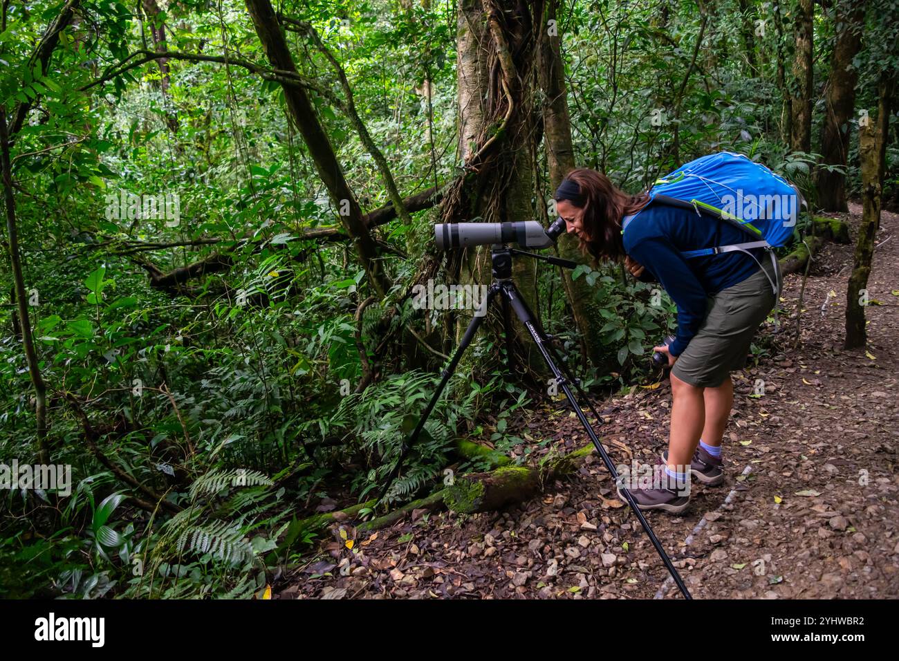 Giovane donna caucasica che usa un cannocchiale nel Parco Nazionale di Monteverde, Costa Rica Foto Stock