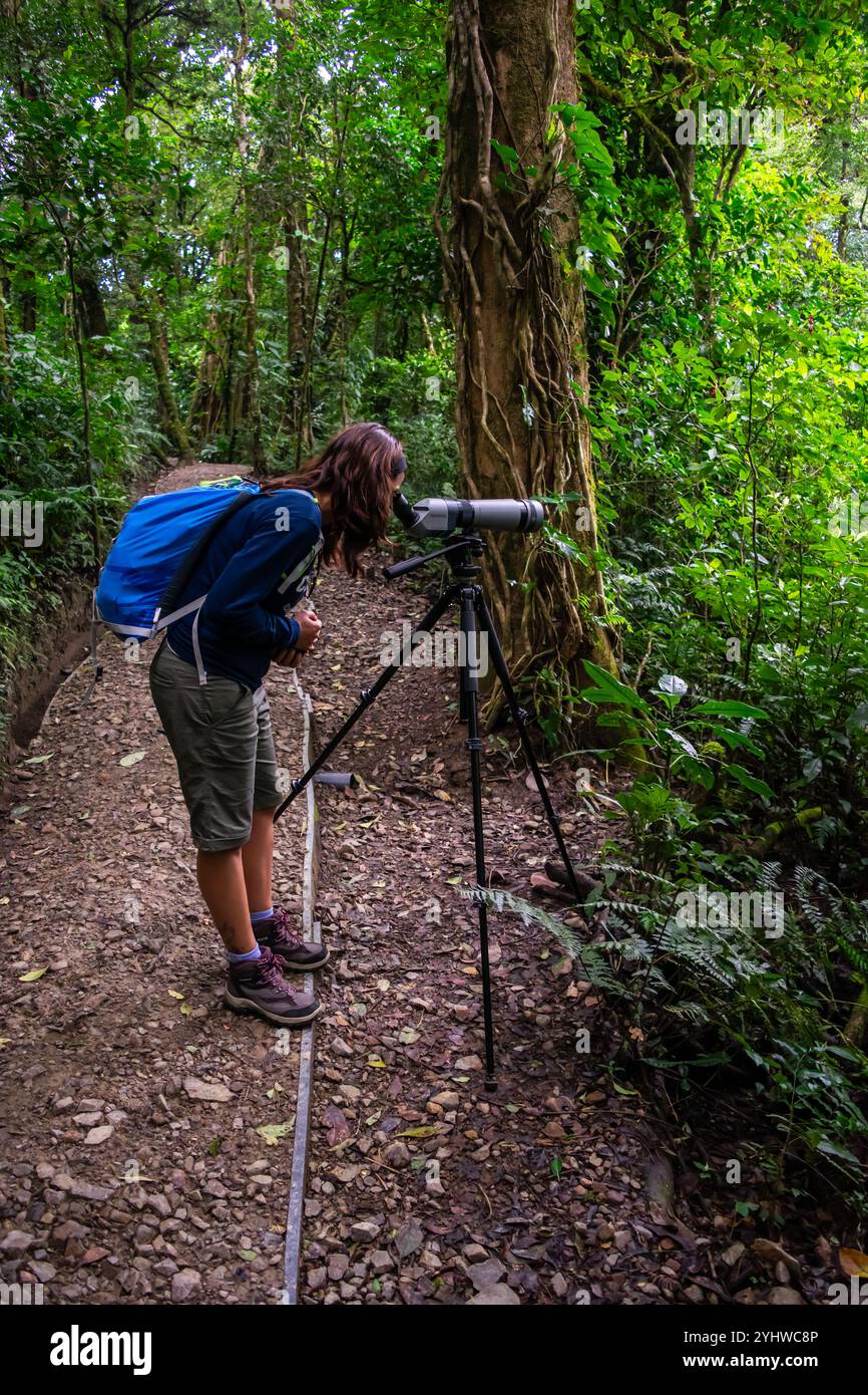 Giovane donna caucasica che usa un cannocchiale nel Parco Nazionale di Monteverde, Costa Rica Foto Stock