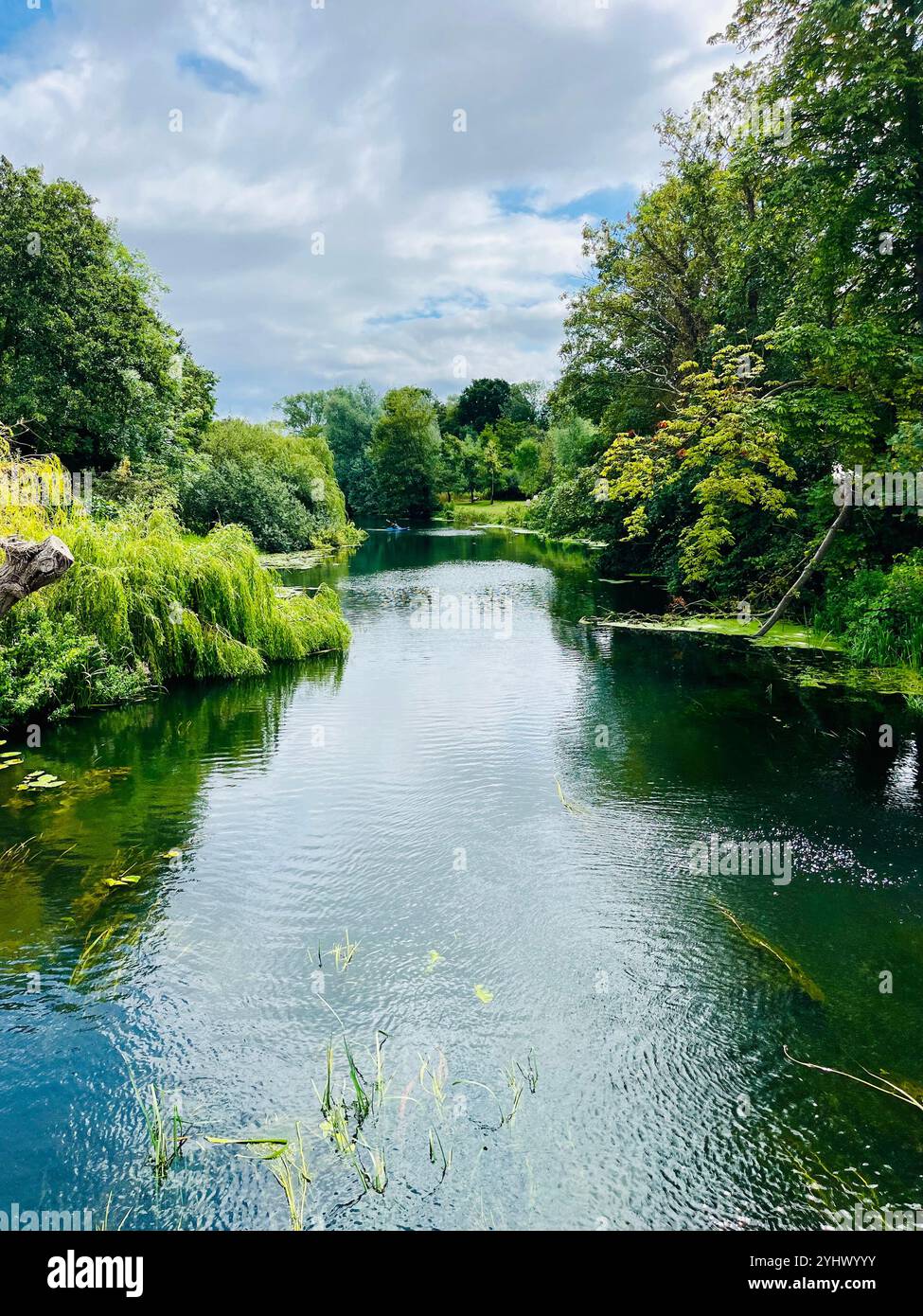passione, libertà - Immagine stock catturata con smartphone
