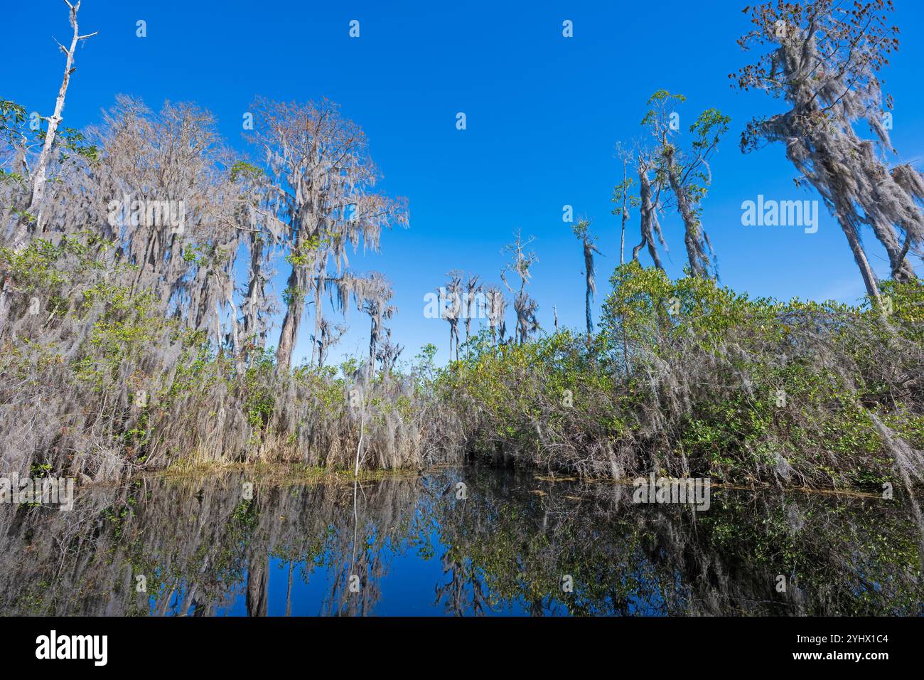 Canale del fiume in una palude di Cypress nella riserva naturale nazionale di Okefenokee in Georgia Foto Stock