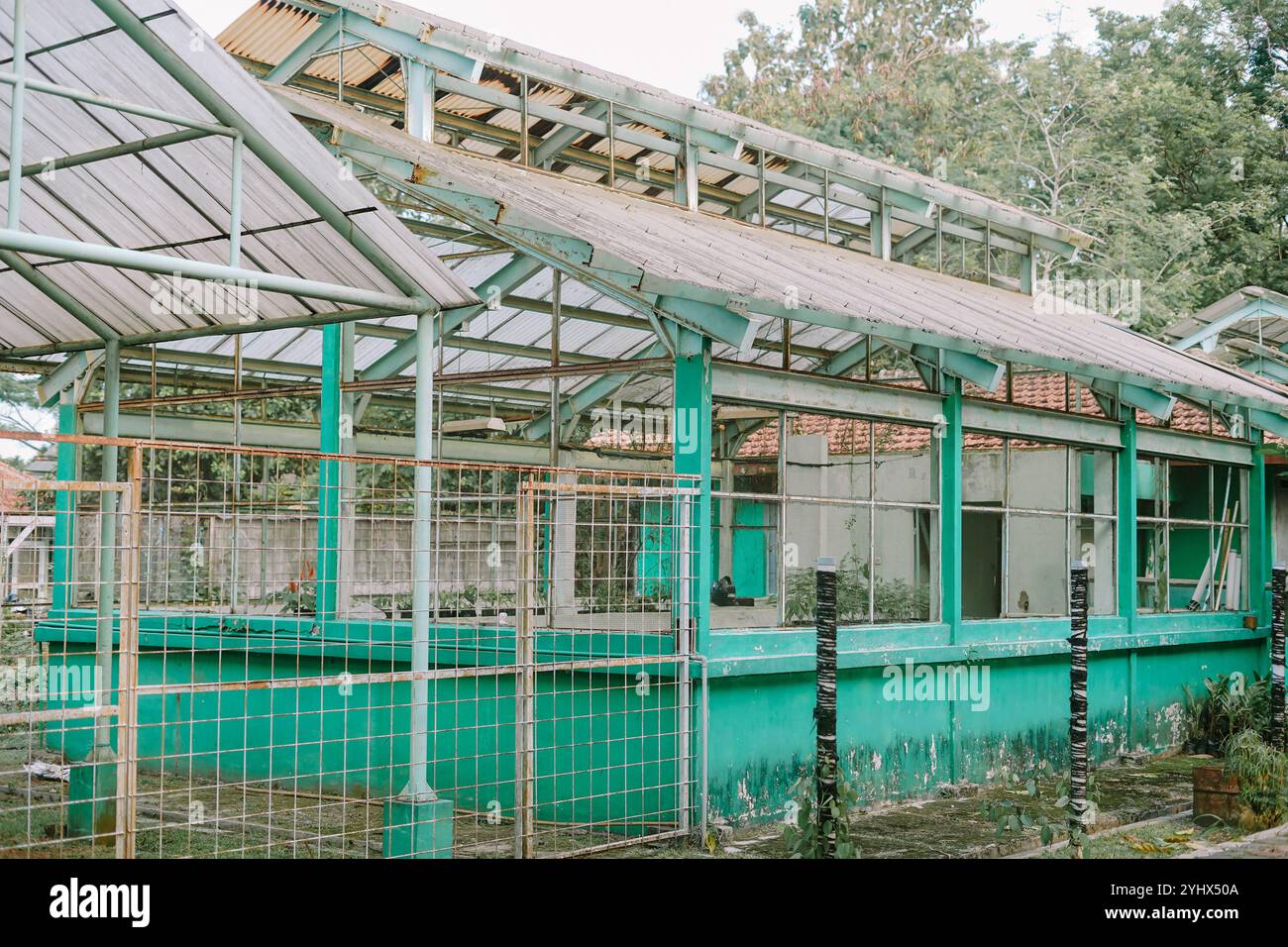struttura in serra con telai in metallo arrugginito e pareti verdi. L'edificio è circondato da recinzioni metalliche, e la condizione trascurata suggerisce disus Foto Stock