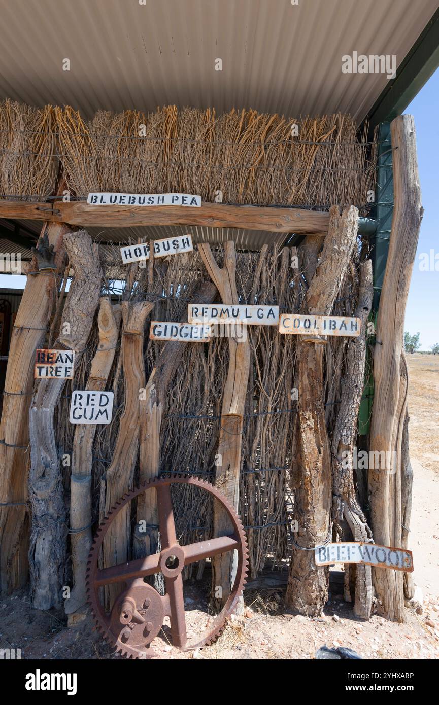 Mostra di identificazione degli alberi nel sito storico di Burke and Wills Dig Tree Reserve, vicino a Innamincka, Australia meridionale, SA, Australia Foto Stock