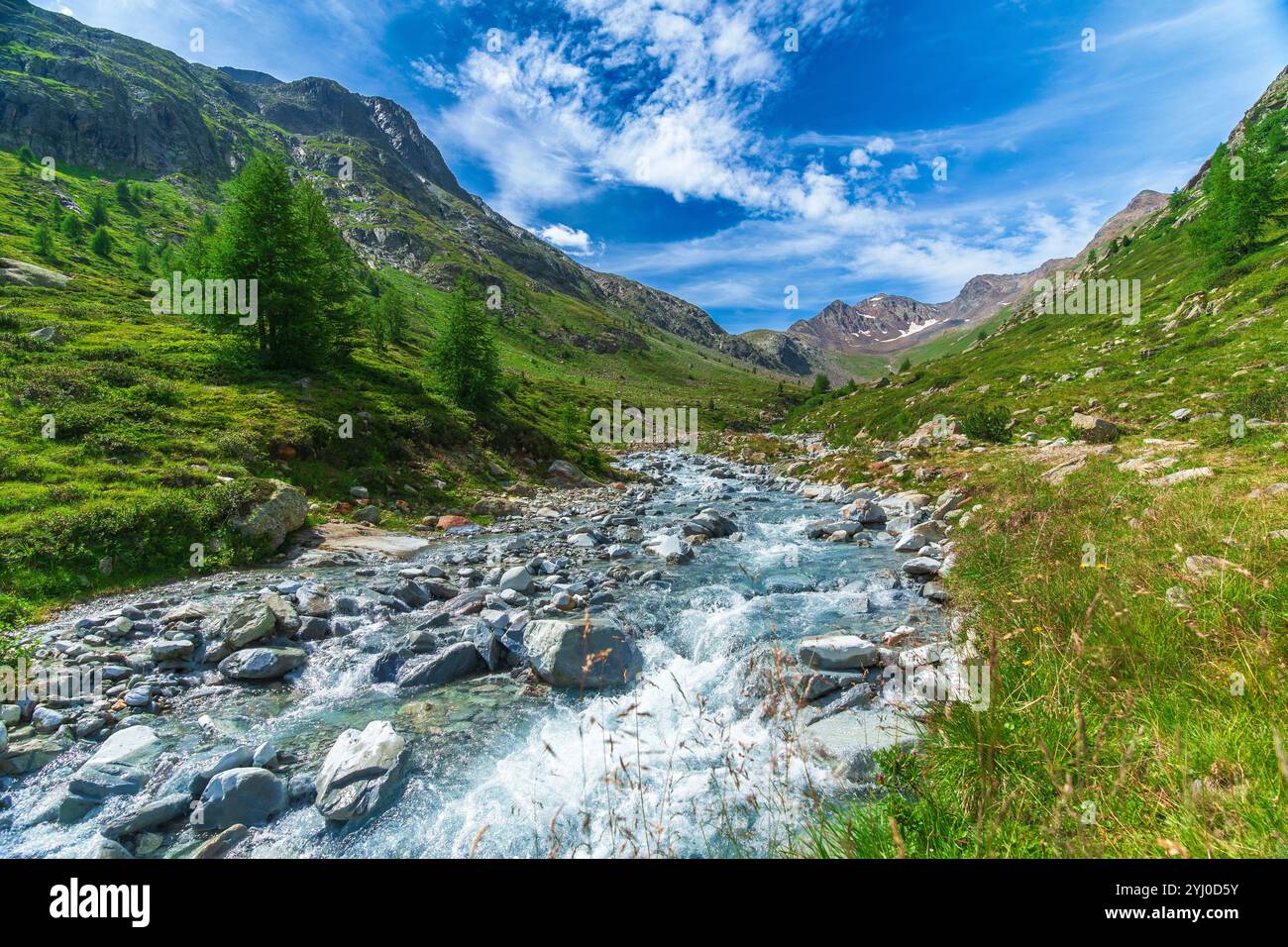 Ruscello girato in Val Nera, Livigno, Italia Foto Stock