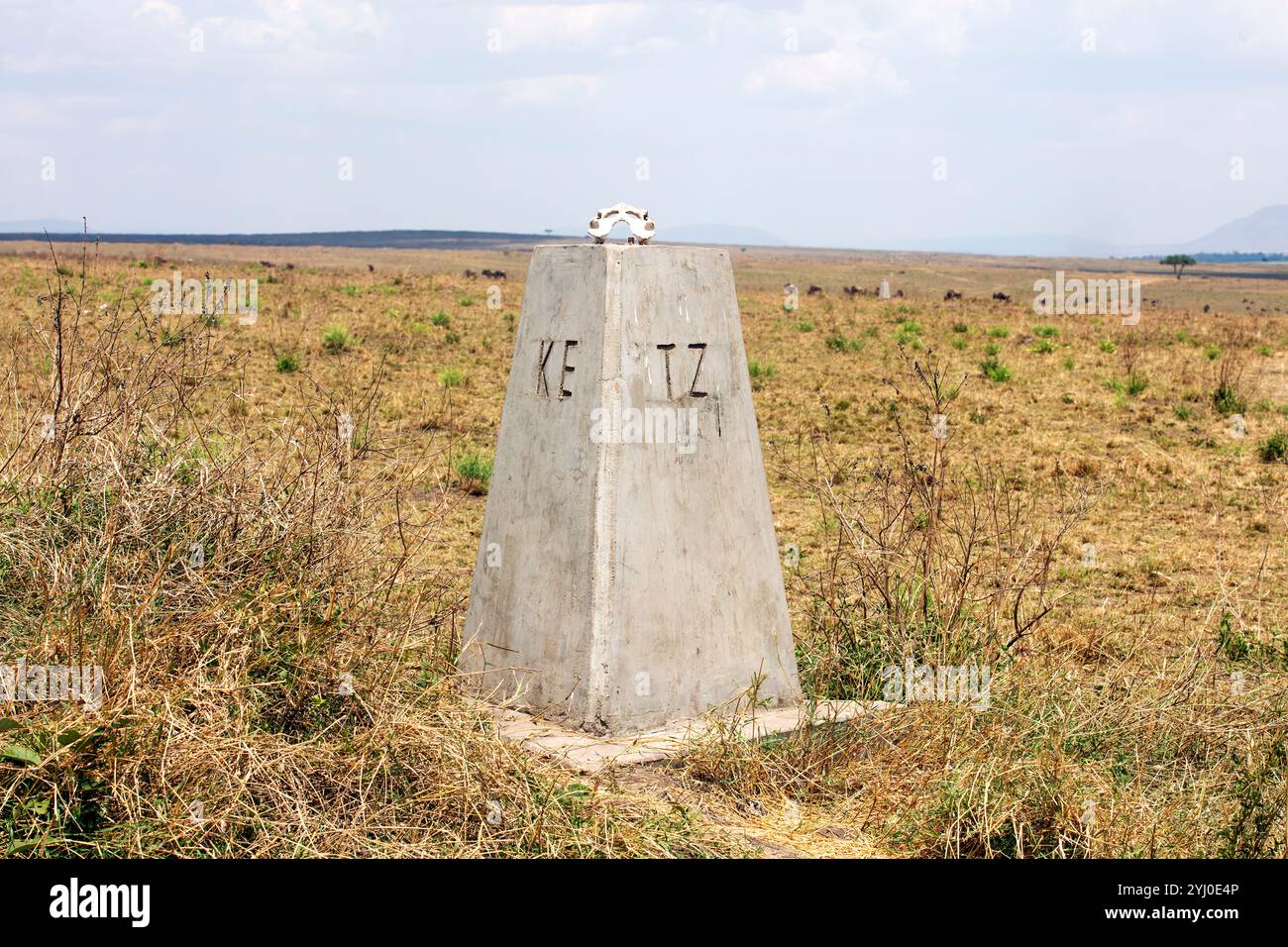 Confine tra Kenya e Tanzania tra Masai Mara e Serengeti, Africa orientale Foto Stock