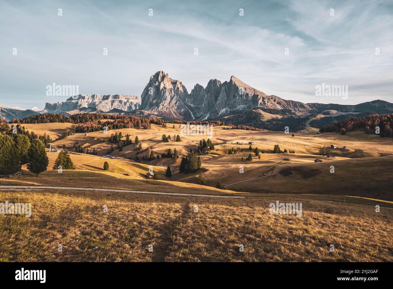 Herbststimmung auf der Seiseralm, der größten Hochalm Europas, in den Südtiroler Dolomiten in Italien, rund 20 km nordöstlich von Bozen und oberhalb der bekannten Tourismus-Orte Seis am Schlern, Castelrotto und St. Ulrich in Gröden am 09.11.2024 mit Blick auf Sellagruppe und Langkofelgruppe. // atmosfera autunnale sul Seiseralm, il più grande alpeggio d'Europa, nelle Dolomiti altoatesine in Italia, a circa 20 km a nord-est di Bolzano e sopra le rinomate località turistiche di Siusi allo Sciliar, Castelrotto e Sant'Ulrico in Val Gardena il 9 novembre 2024 con vista sul Sella gro Foto Stock