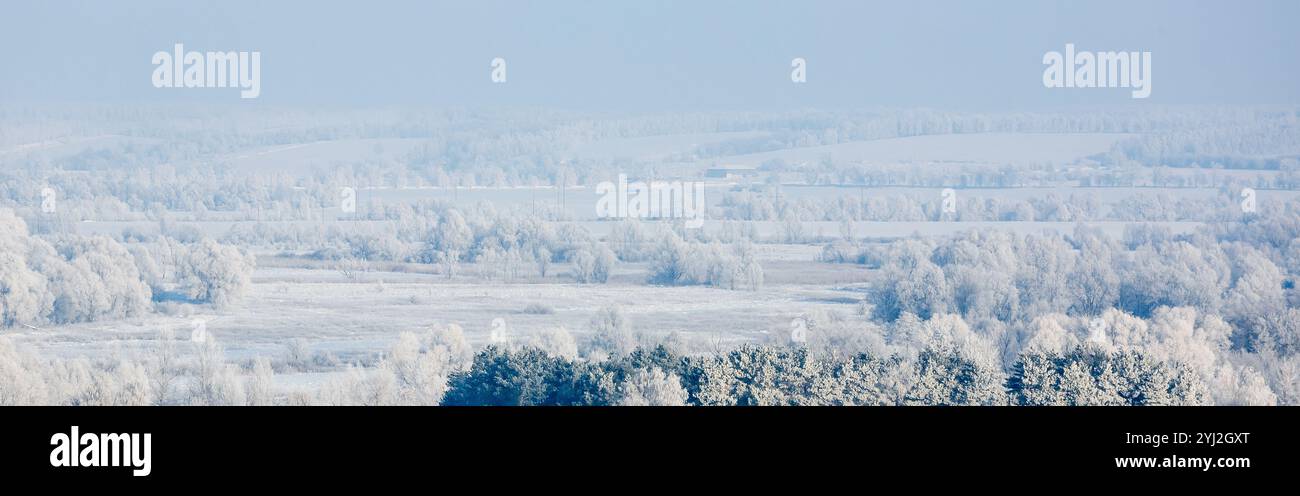 Splendido paesaggio invernale con alberi innevati in gelata. Il cielo serale in tonalità blu-rosa. Vista panoramica. Foto Stock