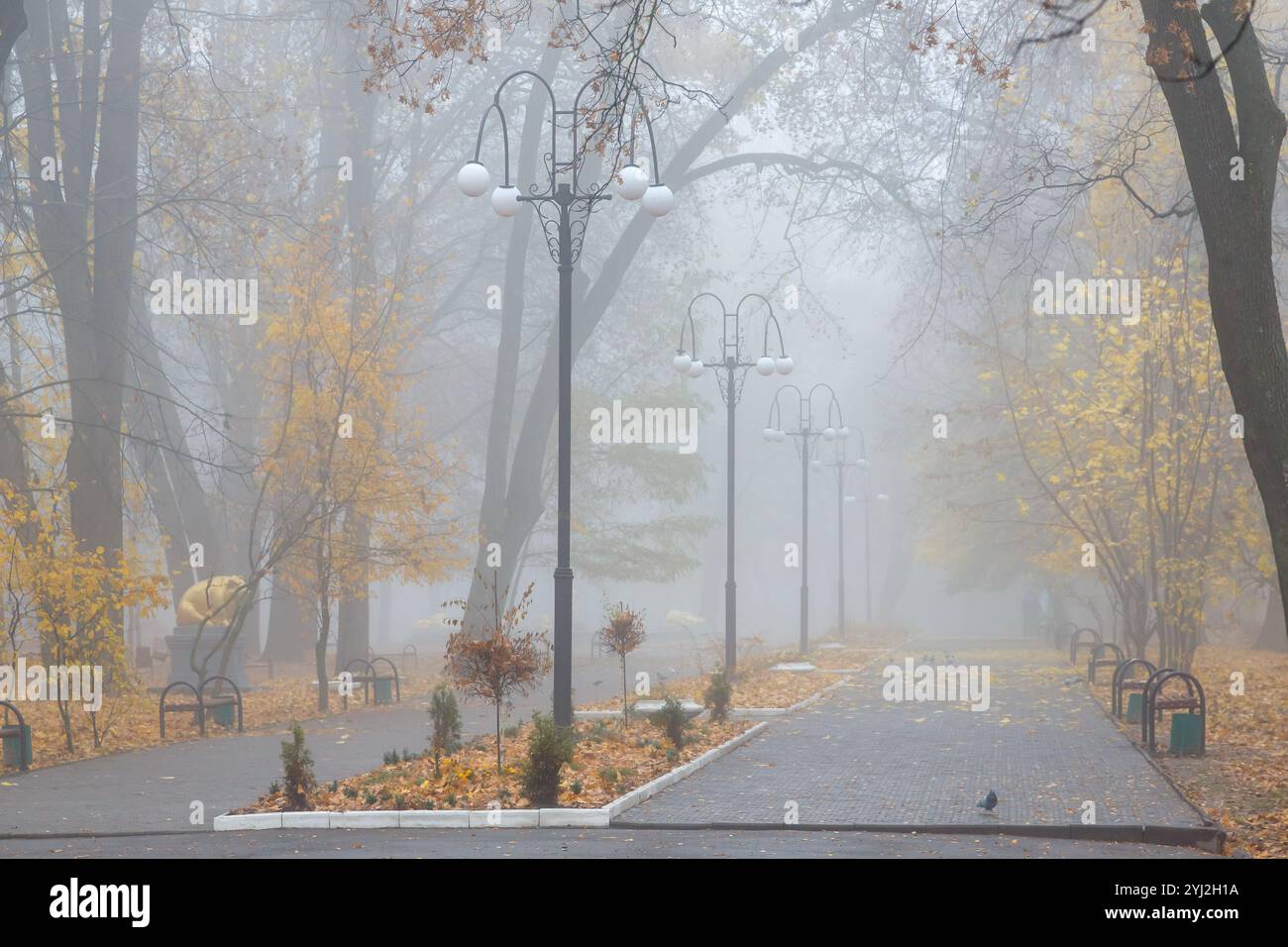 Un bel vicolo in un parco autunnale. Stagione autunnale. Parco autunnale, vicolo, nebbia, panchina Foto Stock