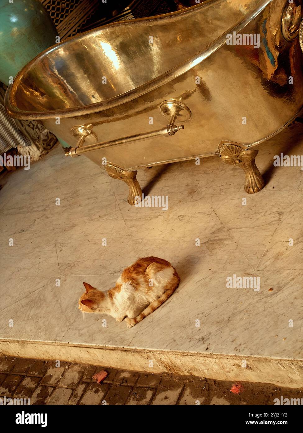 Uno zenzero e un gatto bianco siede su un pavimento piastrellato accanto a una grande vasca da bagno dorata con piedi ornamentali in una stanza calda illuminata, il Marocco Foto Stock