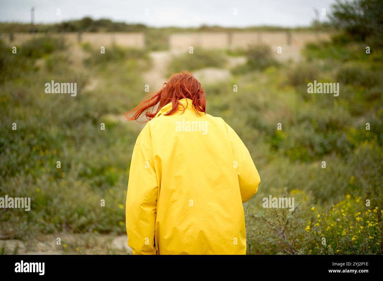 Donna con un impermeabile giallo che cammina attraverso le dune di spiaggia in un giorno coperto, in Belgio Foto Stock