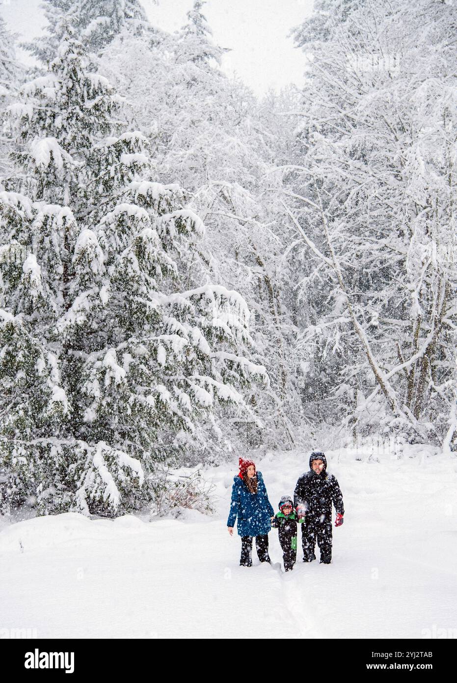 Famiglia di tre persone con abbigliamento invernale in piedi in una foresta innevata durante una nevicata. Foto Stock