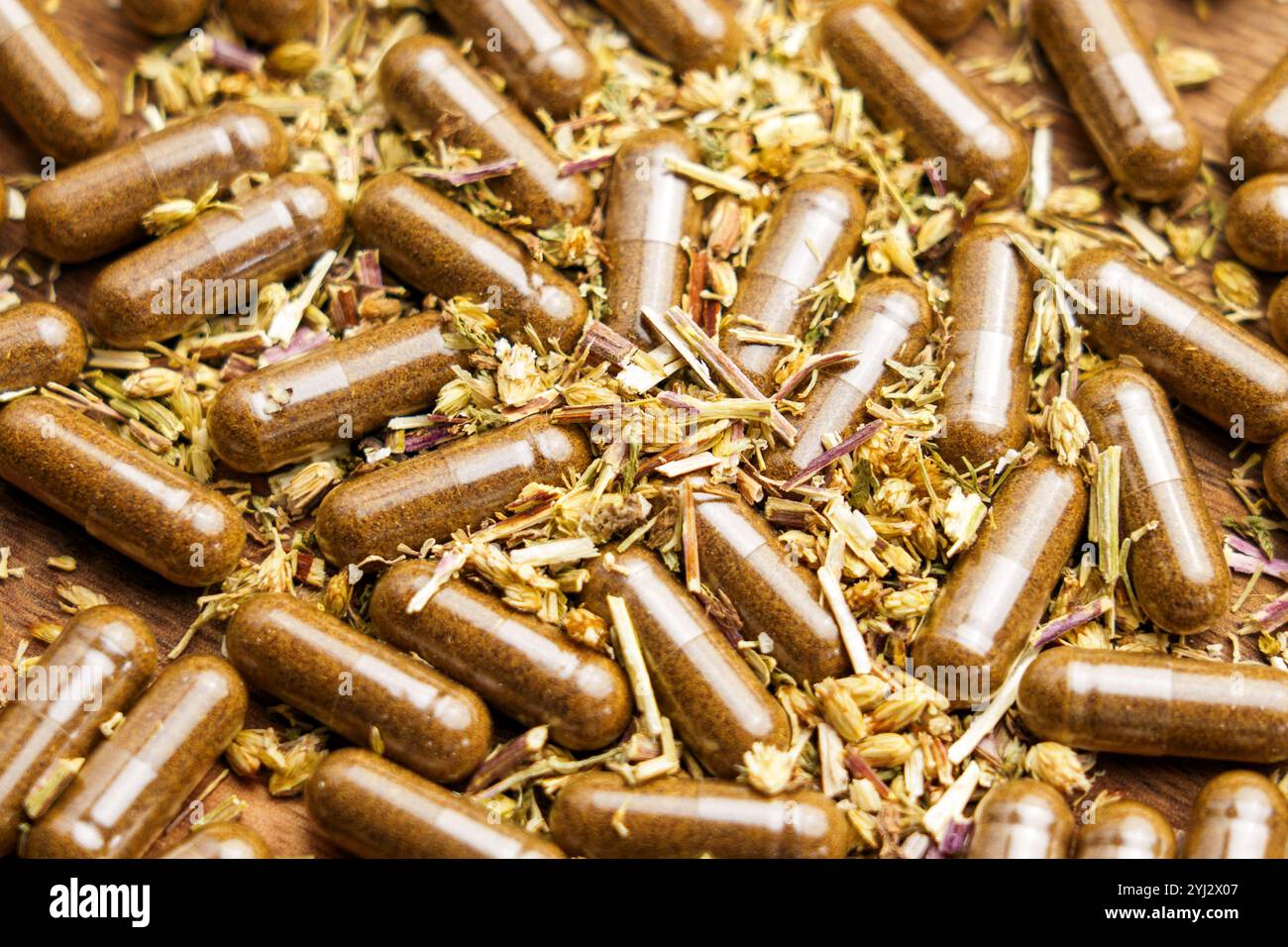 Capsule a base di erbe che poggiano su un'erba medicinale essiccata, mostrando la fusione di rimedi tradizionali a base di erbe con moderni integratori di benessere. Scatto macro Foto Stock
