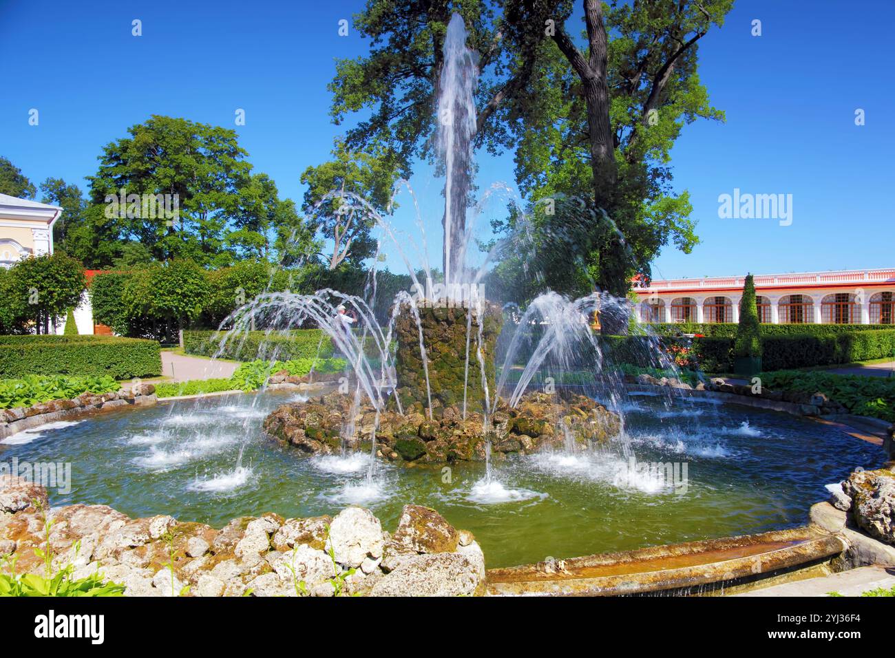 Fontana 'Sheaf' in Pertergof, San Pietroburgo, Russia Foto Stock