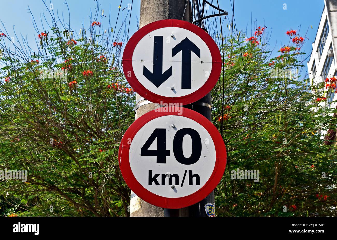 Segnali stradali indicanti il percorso bidirezionale e il limite di velocità a 40 chilometri orari, quartiere di Tijuca, Rio de Janeiro, Brasile Foto Stock