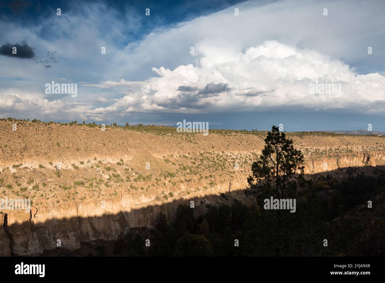 Nuvole temporalesche costruire sopra Frijoles Canyon, Bandalier monumento nazionale, Nuovo Messico Foto Stock