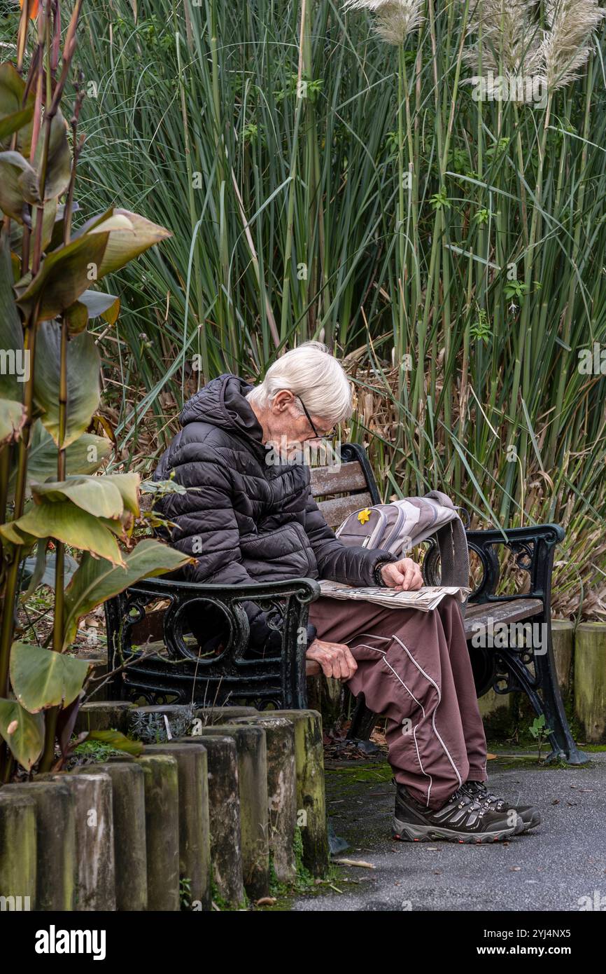 Un uomo maturo che legge un giornale seduto su una panchina ai Trenance Gardens di Newquay, in Cornovaglia, nel Regno Unito. Foto Stock